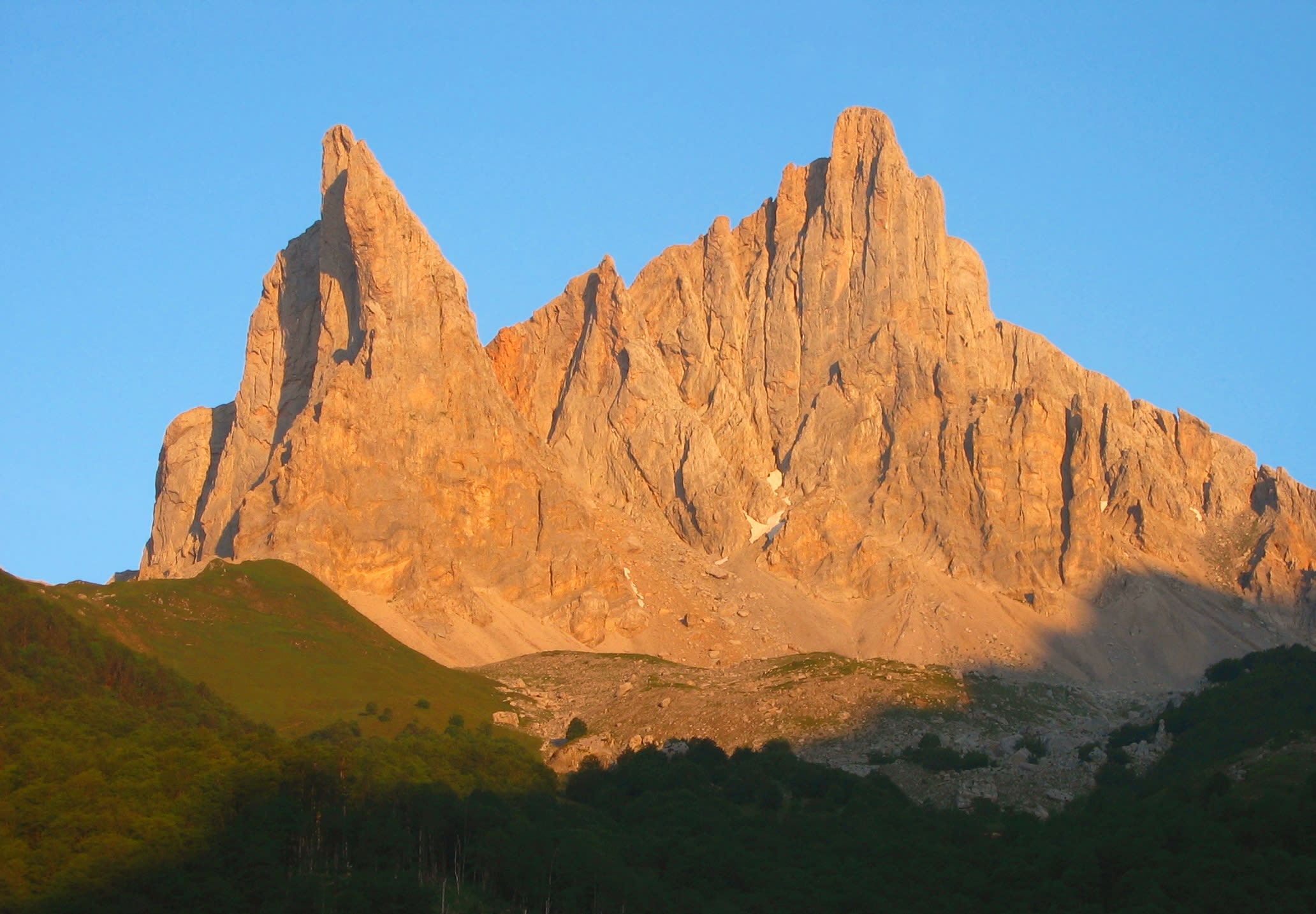 Image Dans le territoire de l'ours Camille