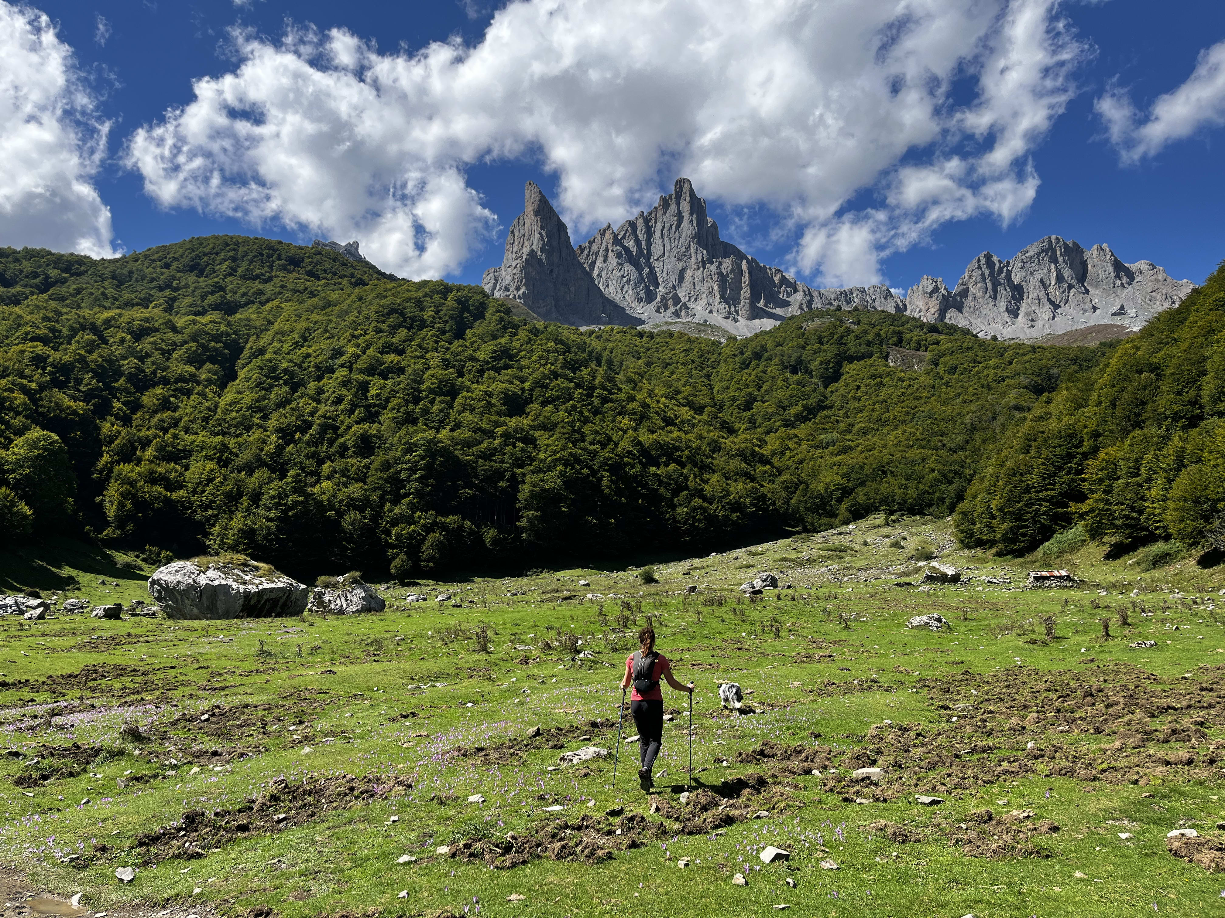 Image Dans le territoire de l'ours Camille