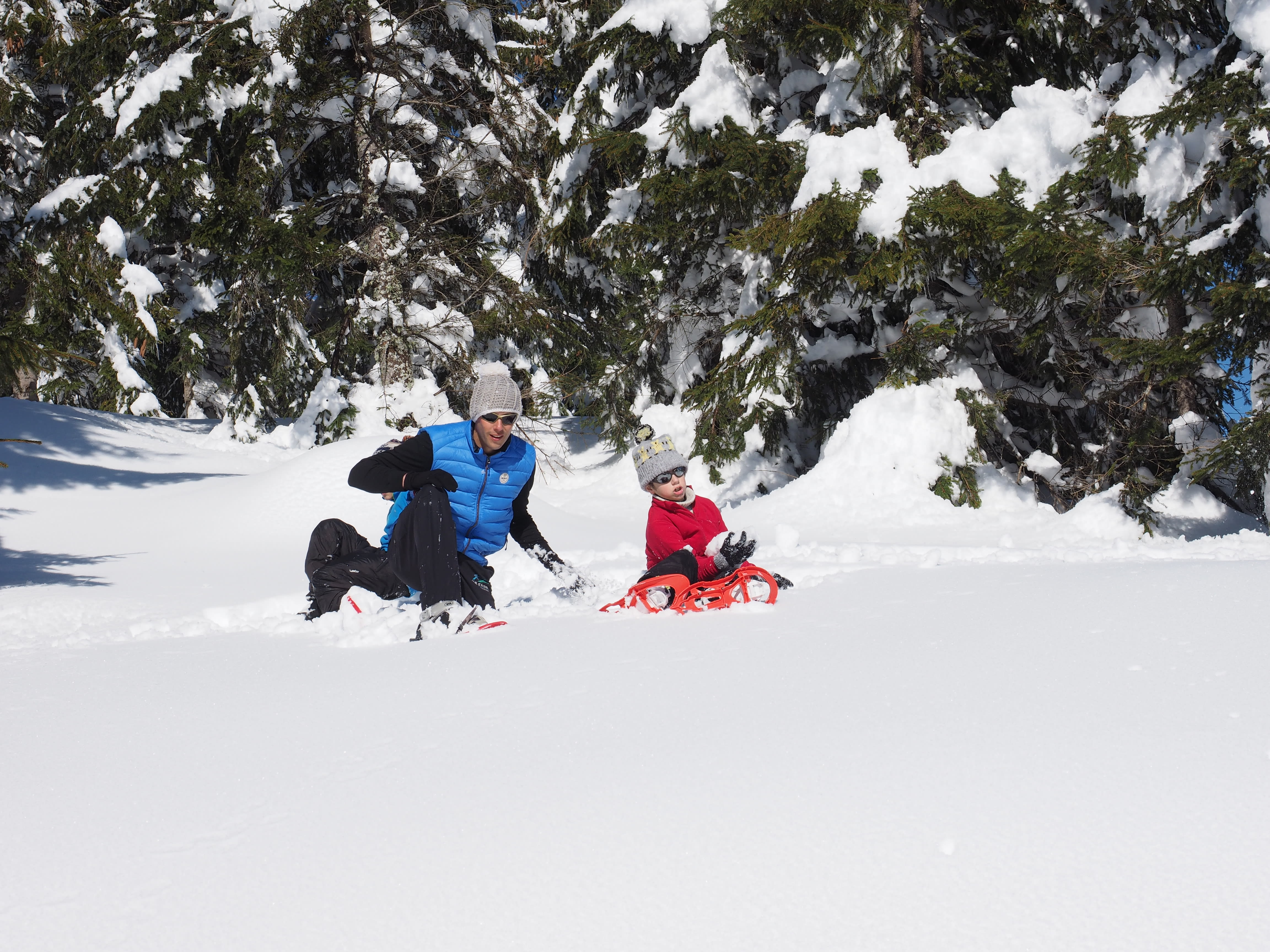 Image Chiens de traineaux, raquettes, initiation au biathlon... Multi-activités hivernales dans le Val d'A