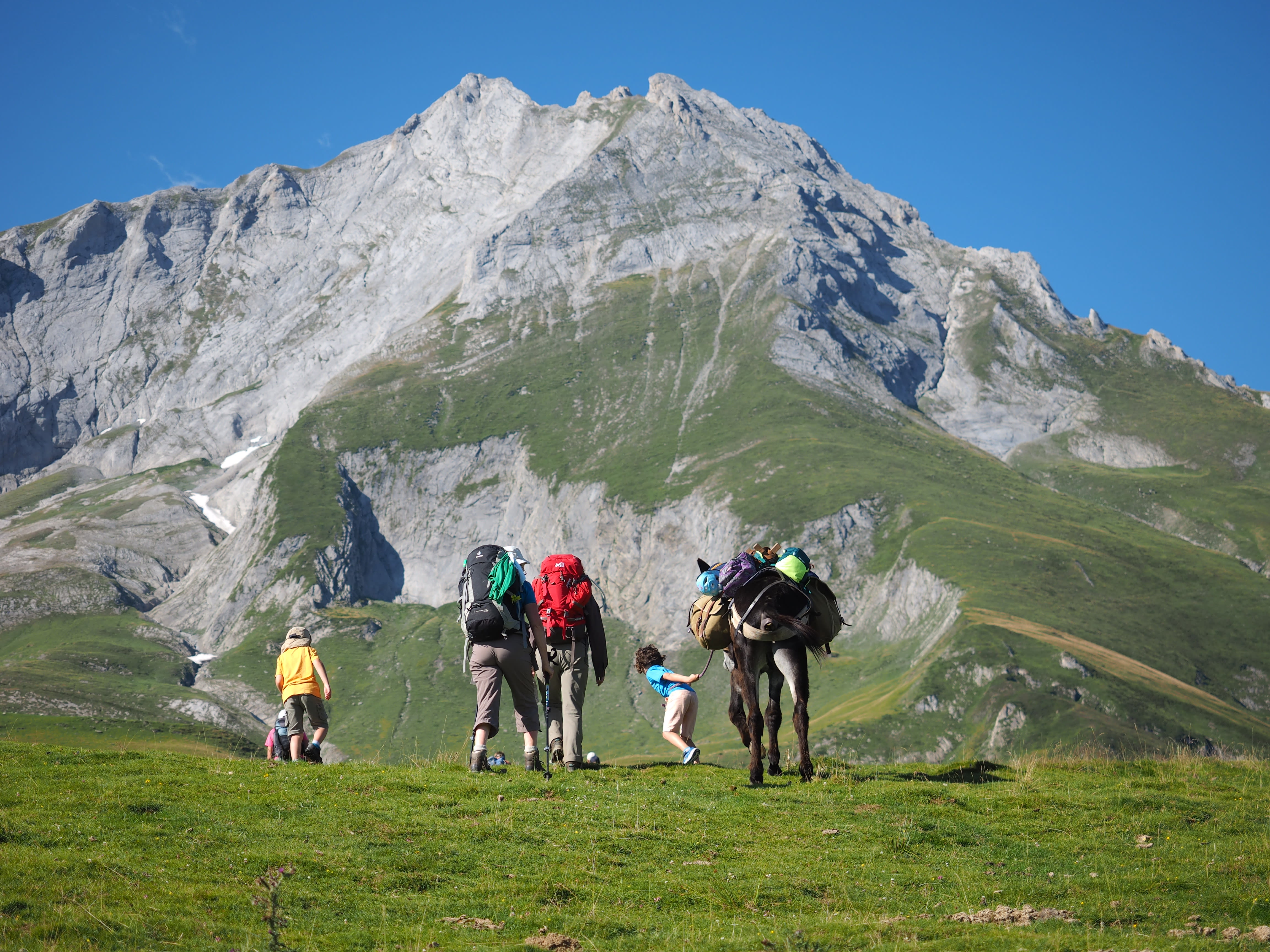 Image Randonnée en famille dans le Val d'Azun avec des ânes