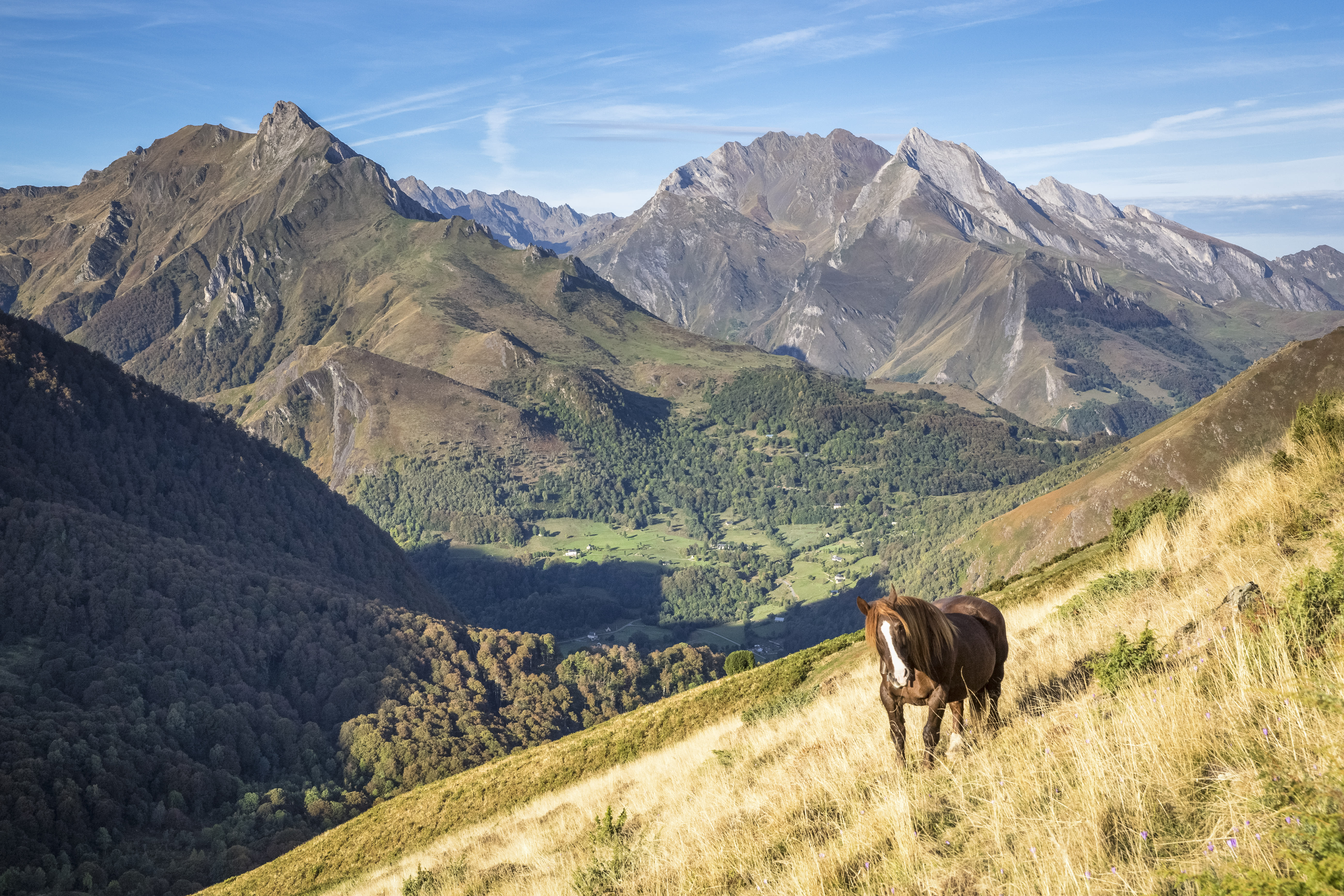 Image Randonnée dans le Val d'Azun, Éden des Pyrénées