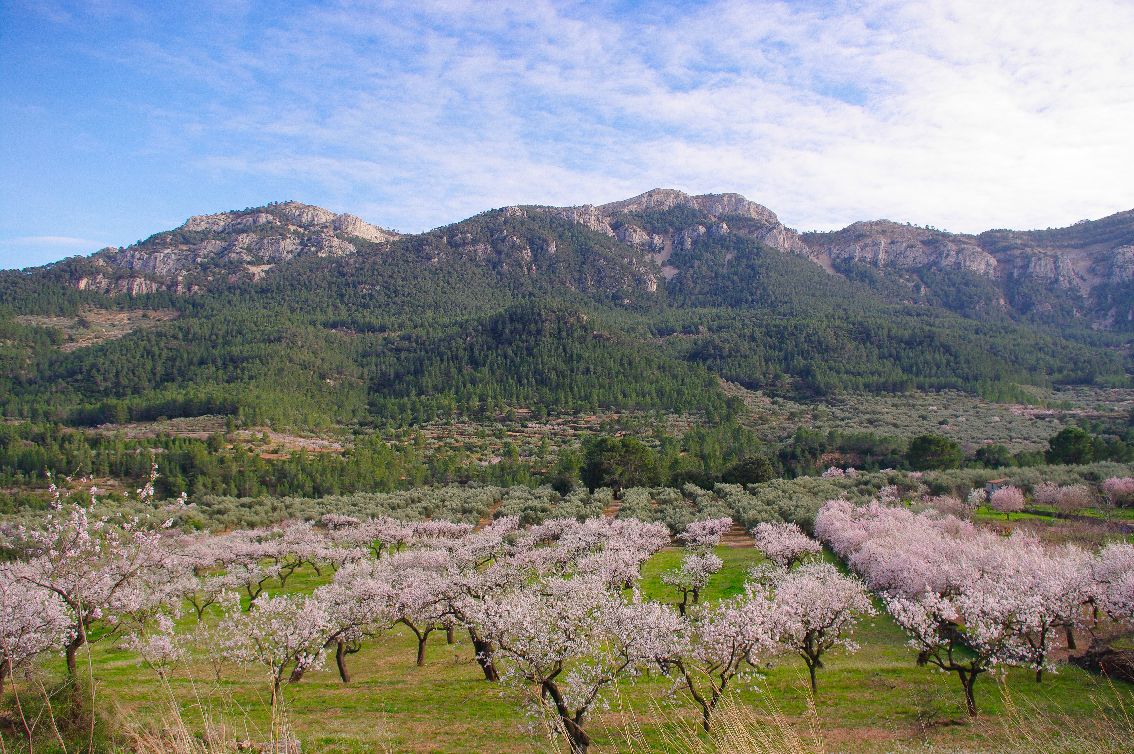 Image Beceite et parc naturel Dels Ports, au pays des bouquetins