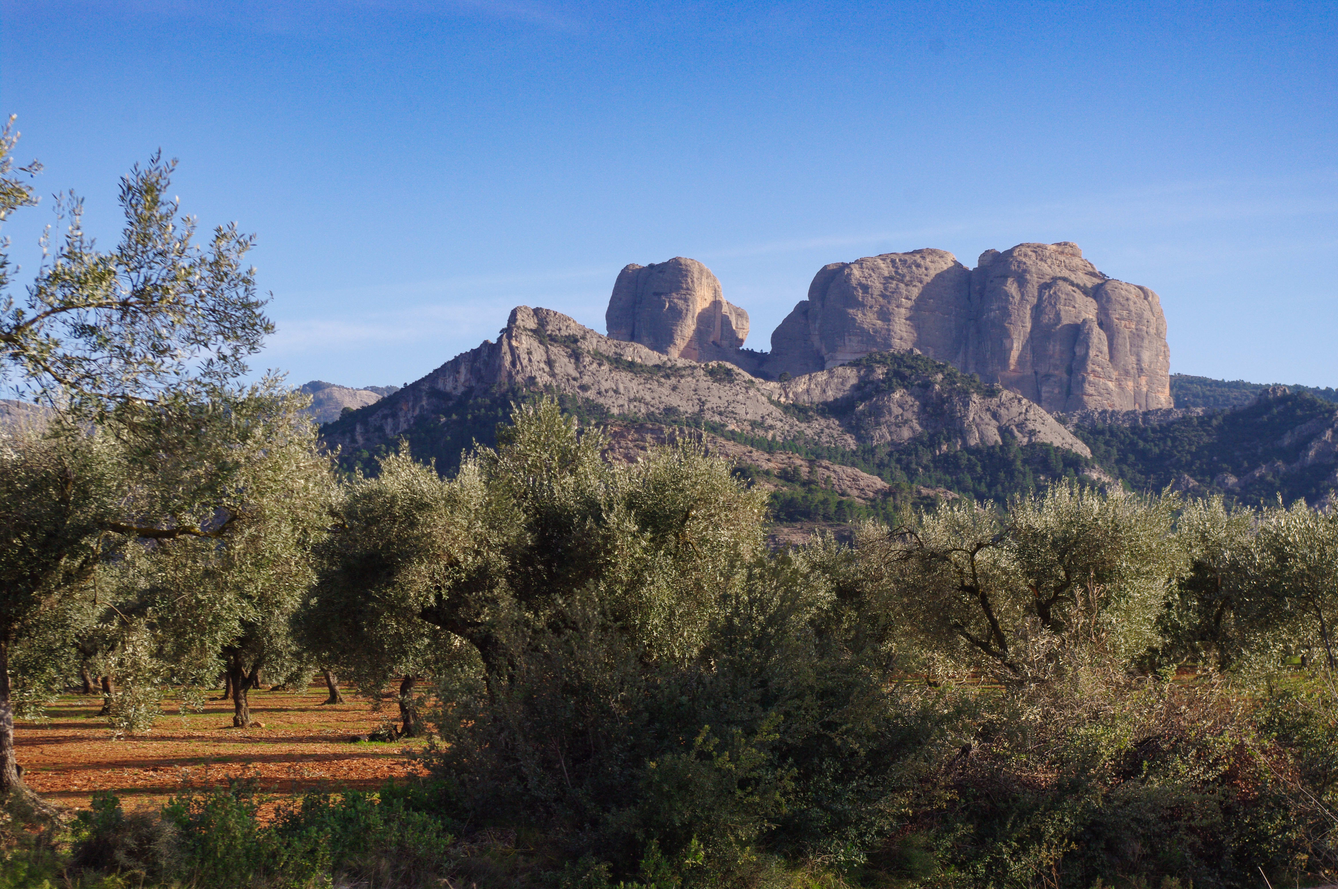Image Beceite et parc naturel Dels Ports, au pays des bouquetins