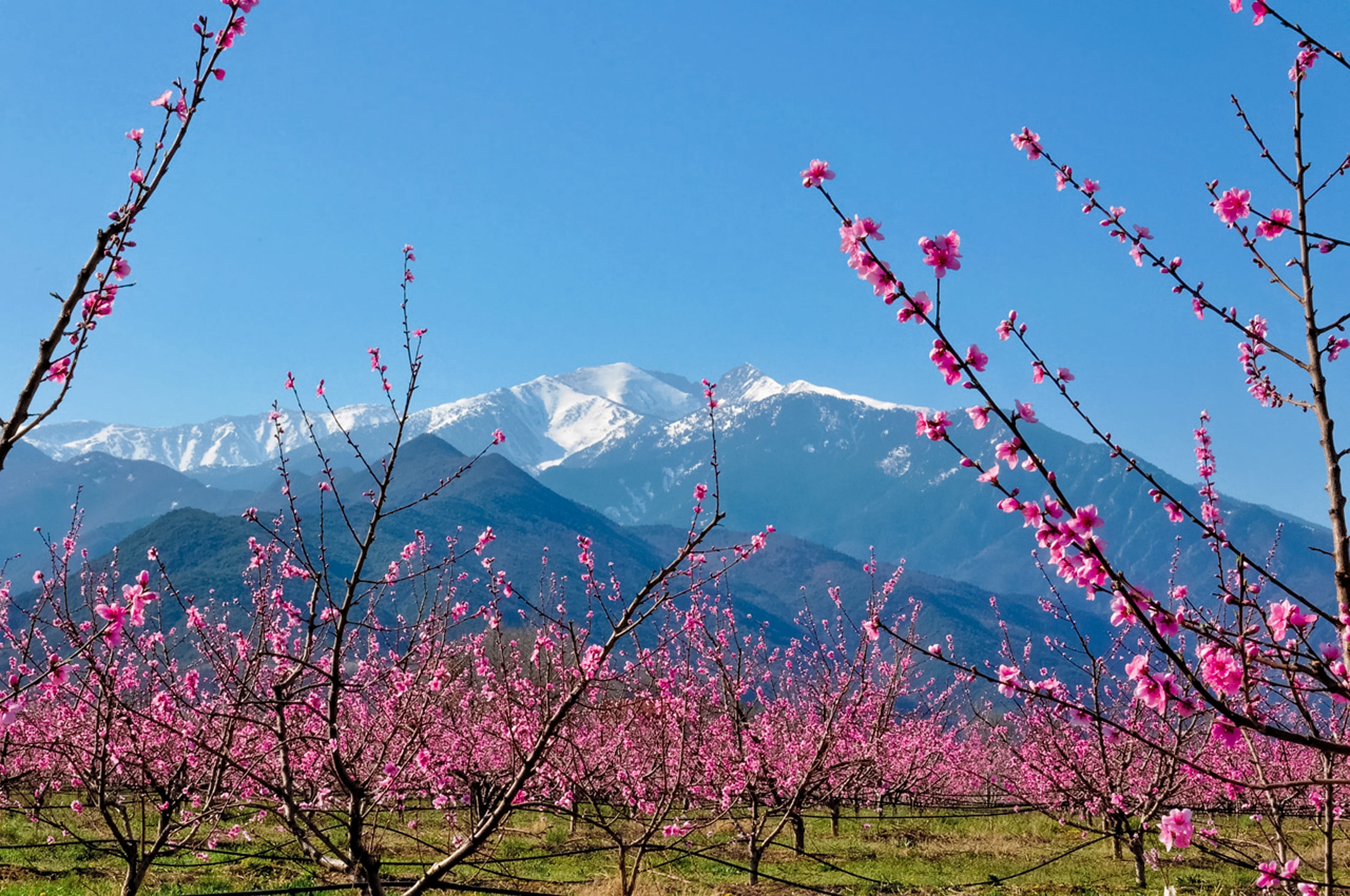 Image Le Tour du Canigou, la ronde catalane