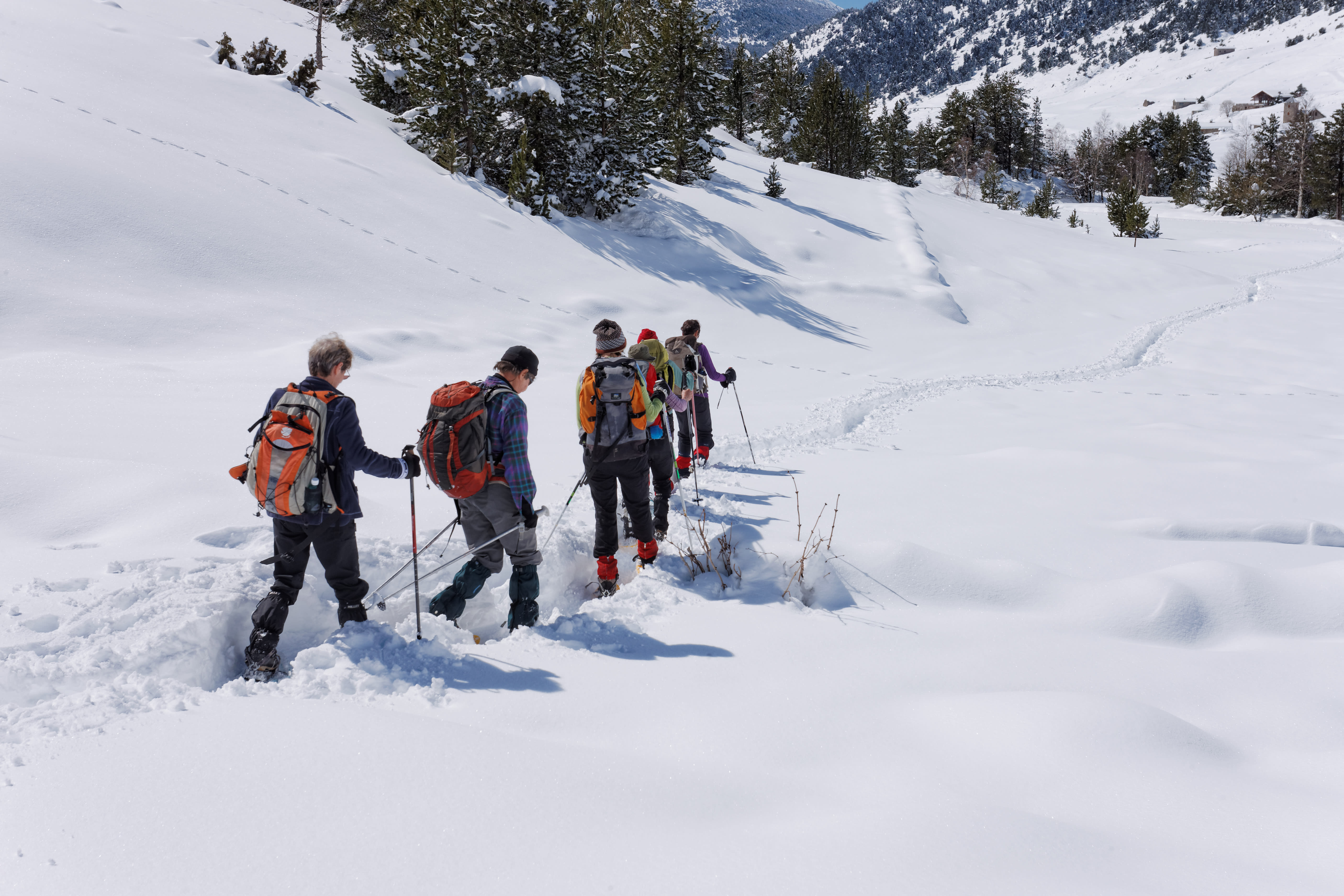 Image Andorre hivernale : randonnées en raquettes et hôtel confort !