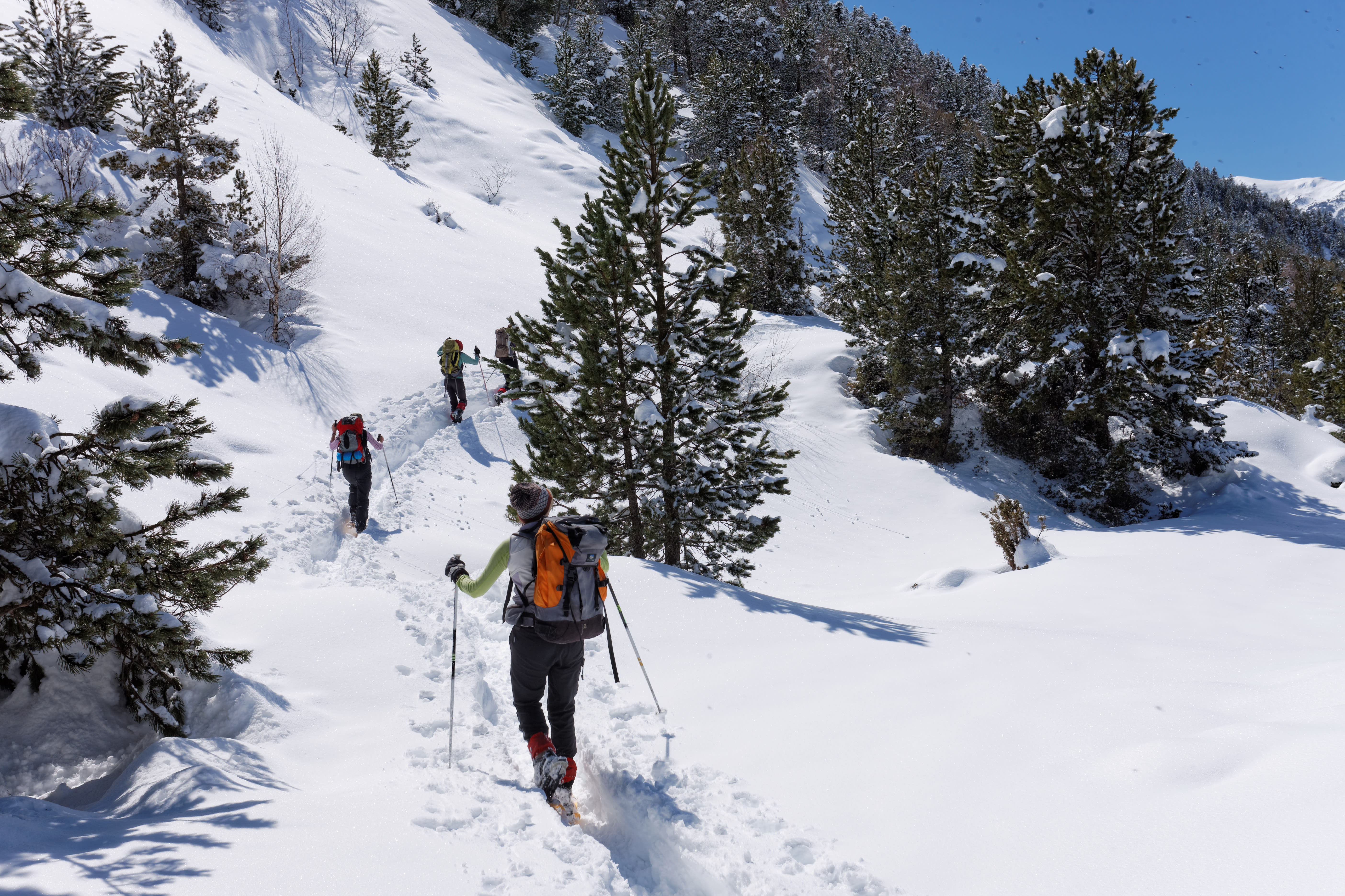 Image Andorre hivernale : randonnées en raquettes et hôtel confort !