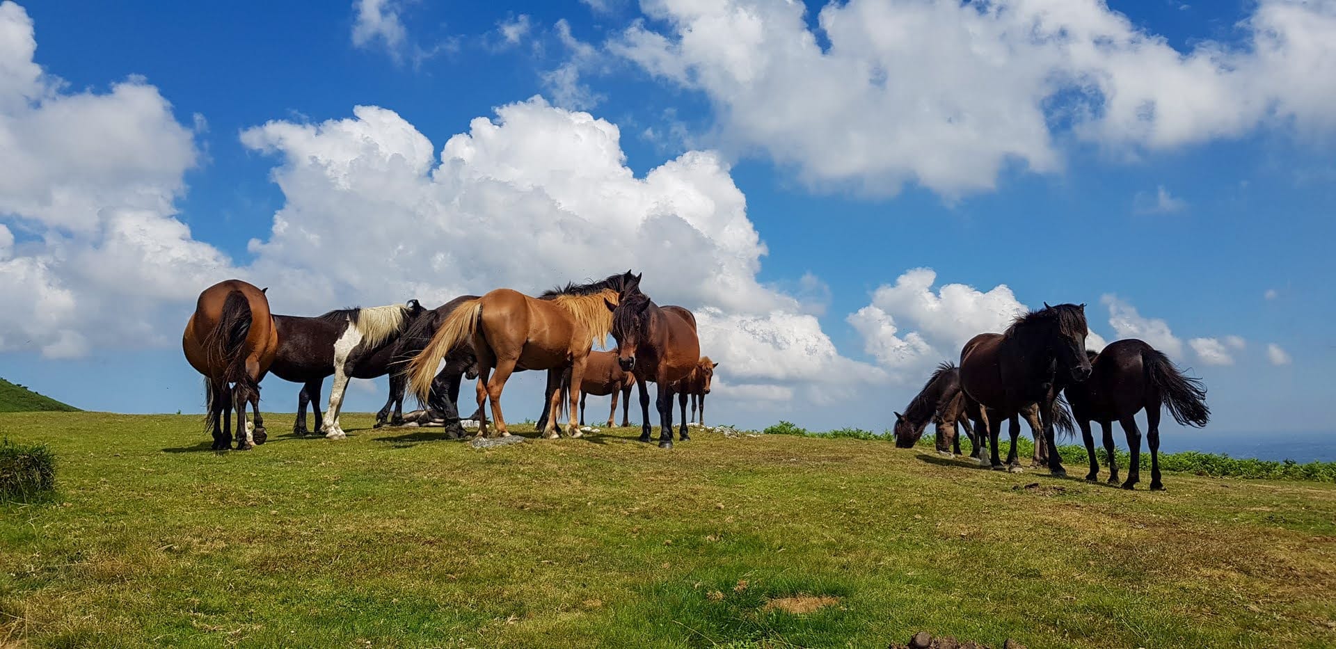Image Pays-Basque authentique, aux sources de la Nive