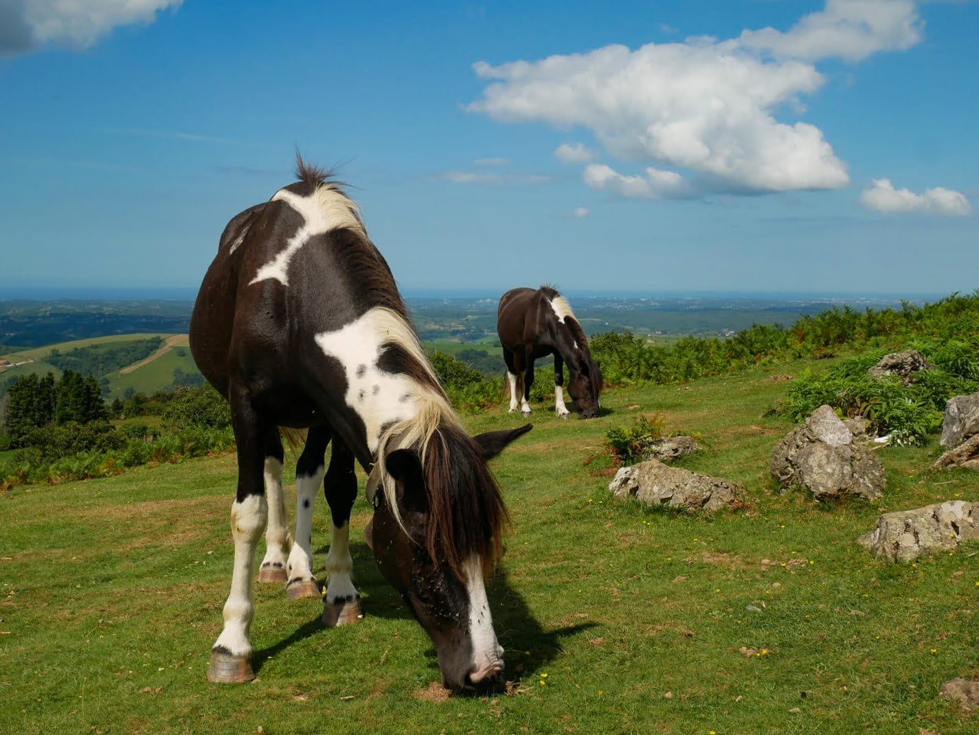 Pays-Basque authentique, aux sources de la Nive