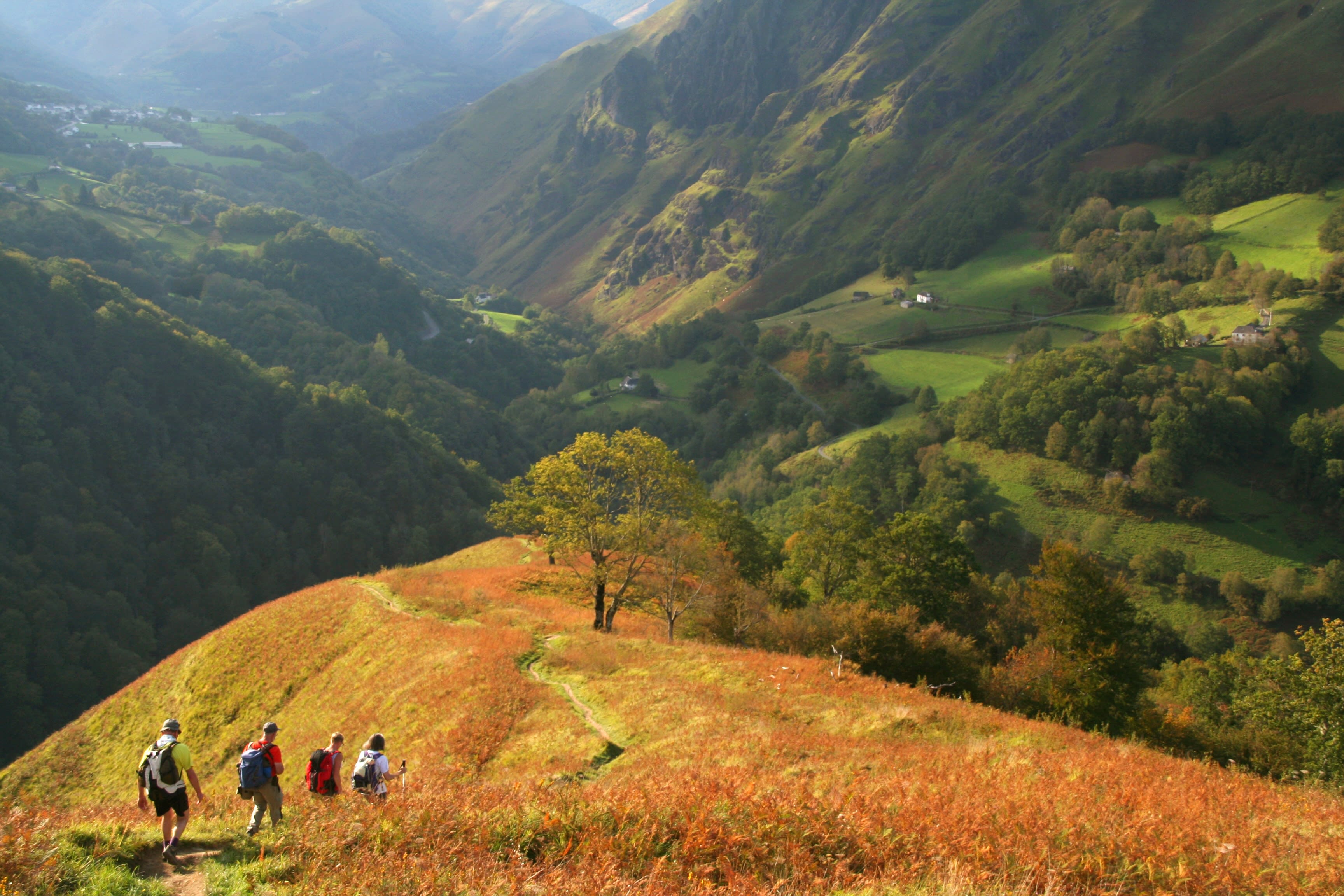 Image Charme et gastronomie en Pays Basque, le goût de l'authentique