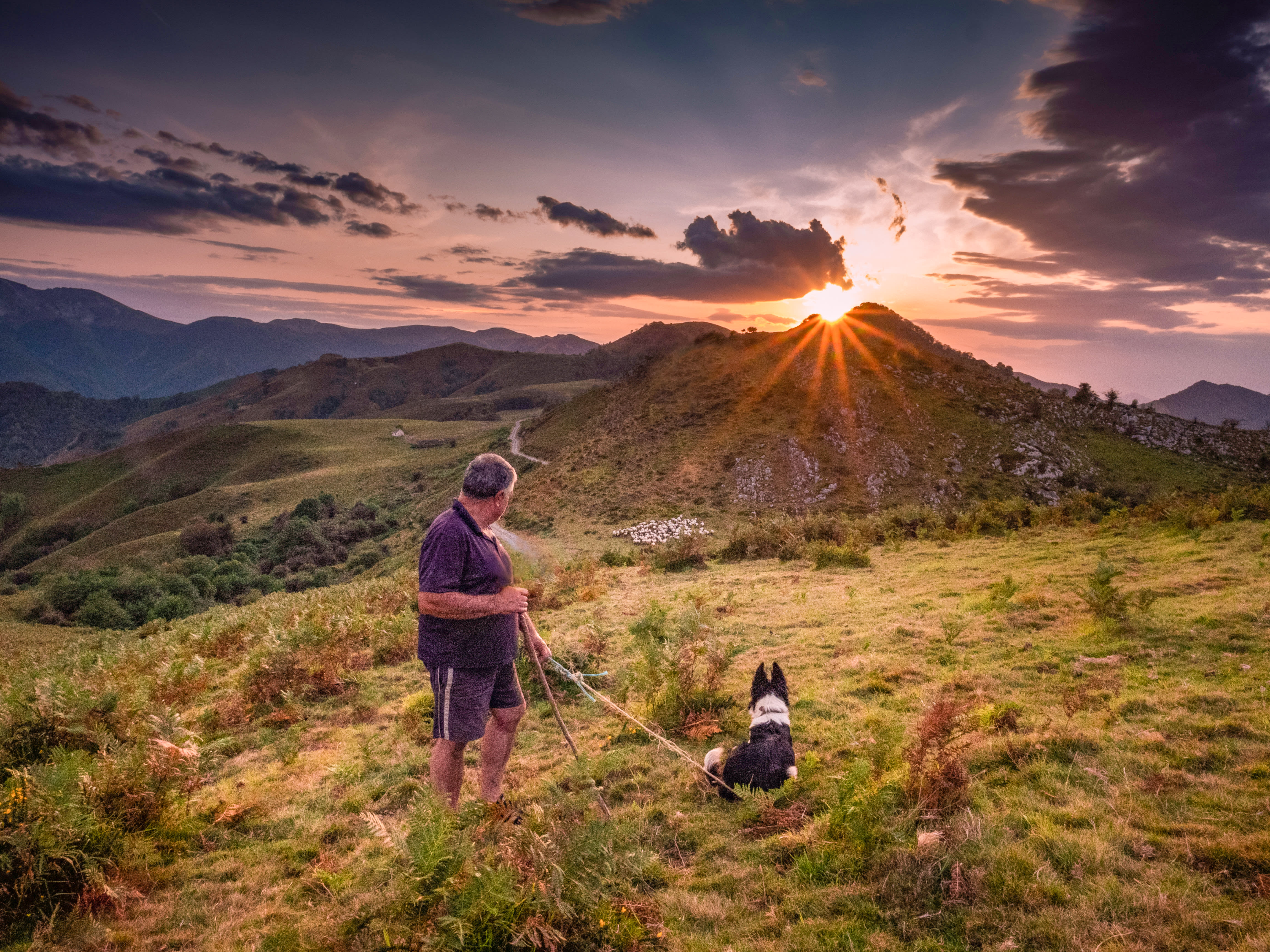 Image De la montagne à l'océan, traversée douillette du Pays Basque