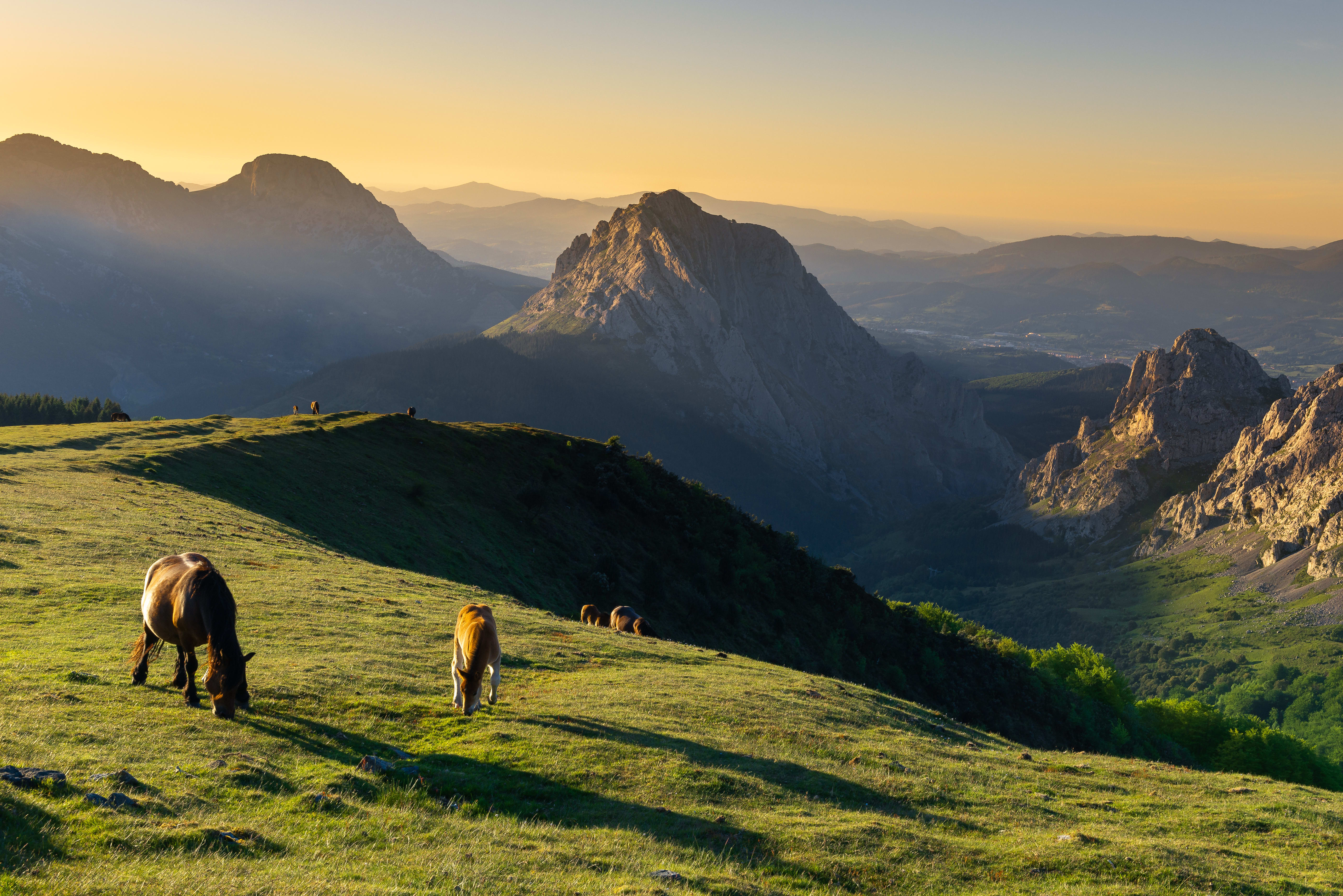Image Pays Basque Basaburia, le charme authentique