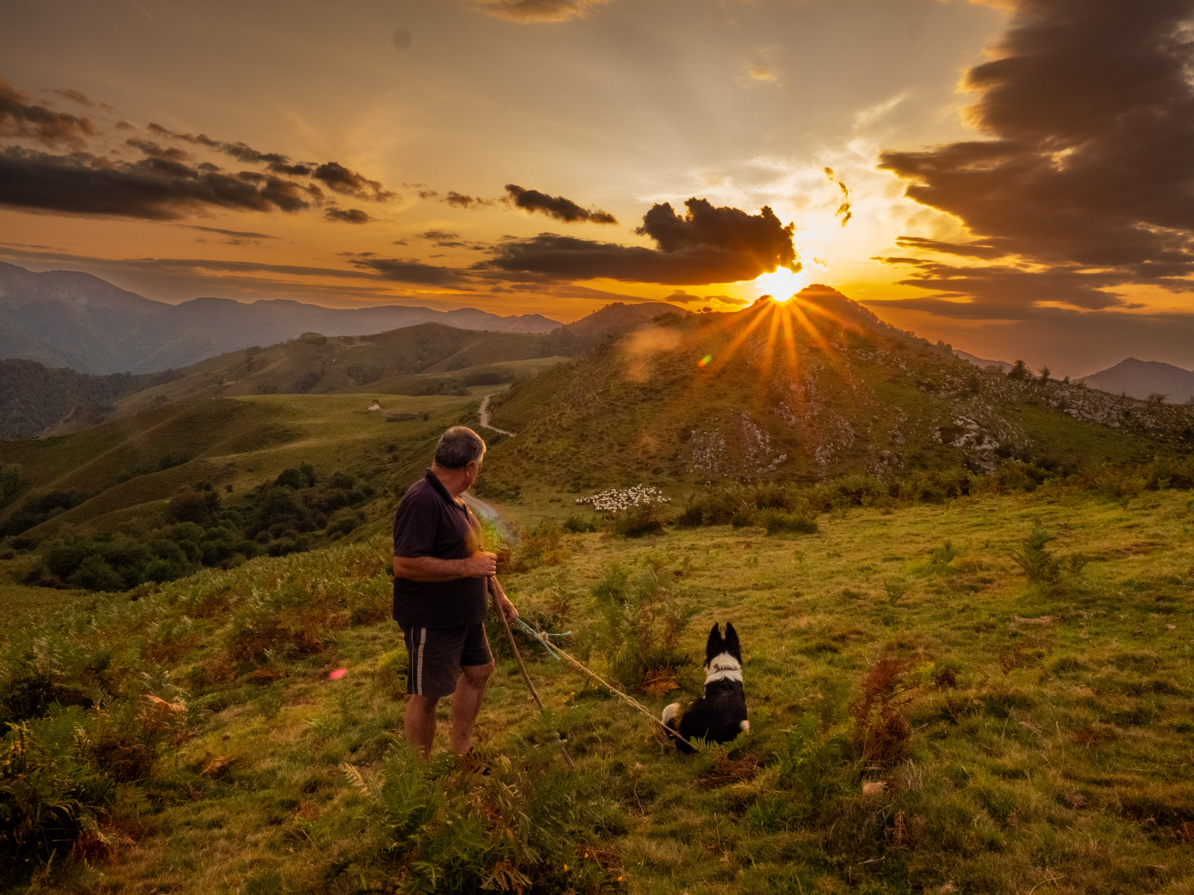 Image Pays-Basque authentique, aux sources de la Nive