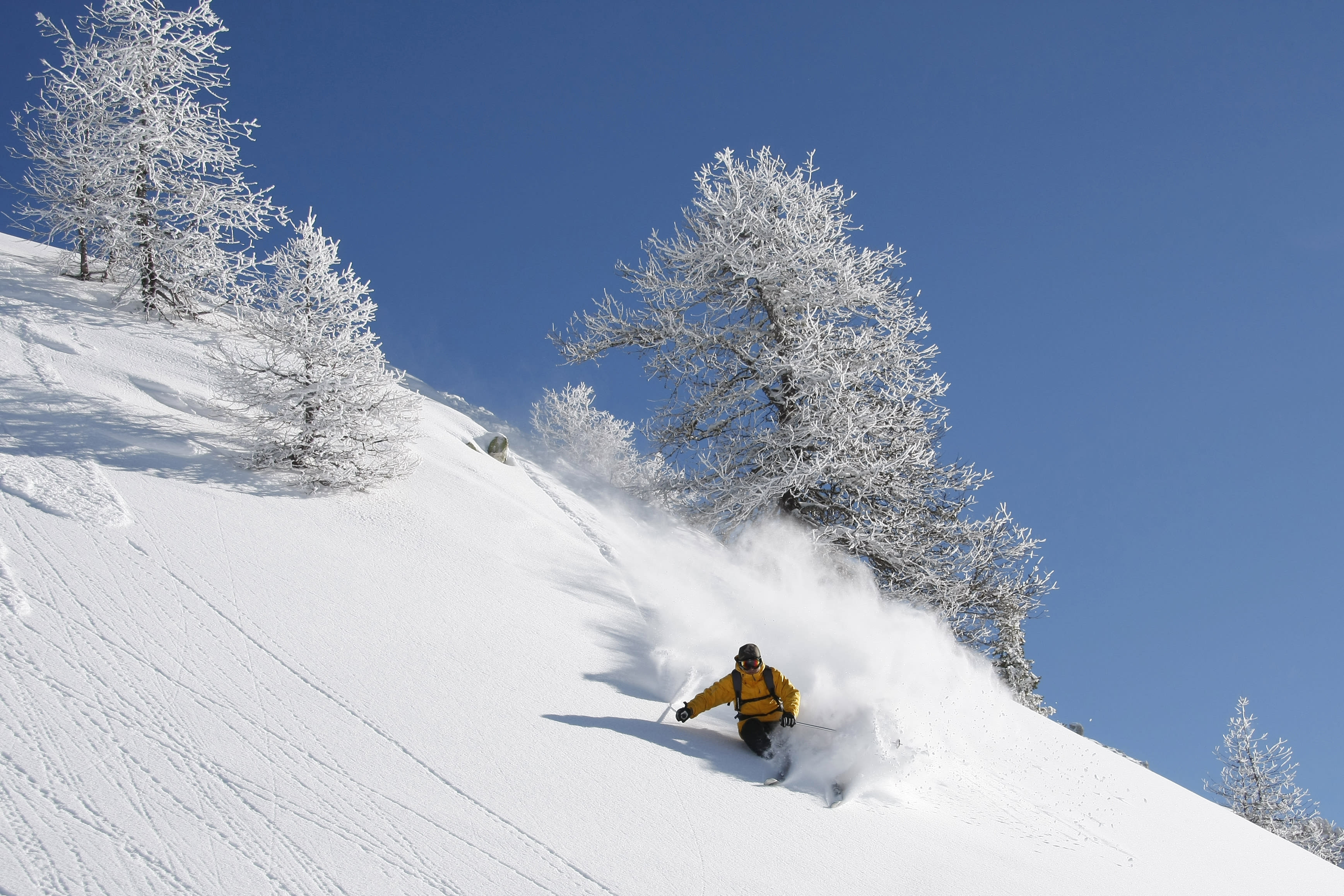 Ski Freerando