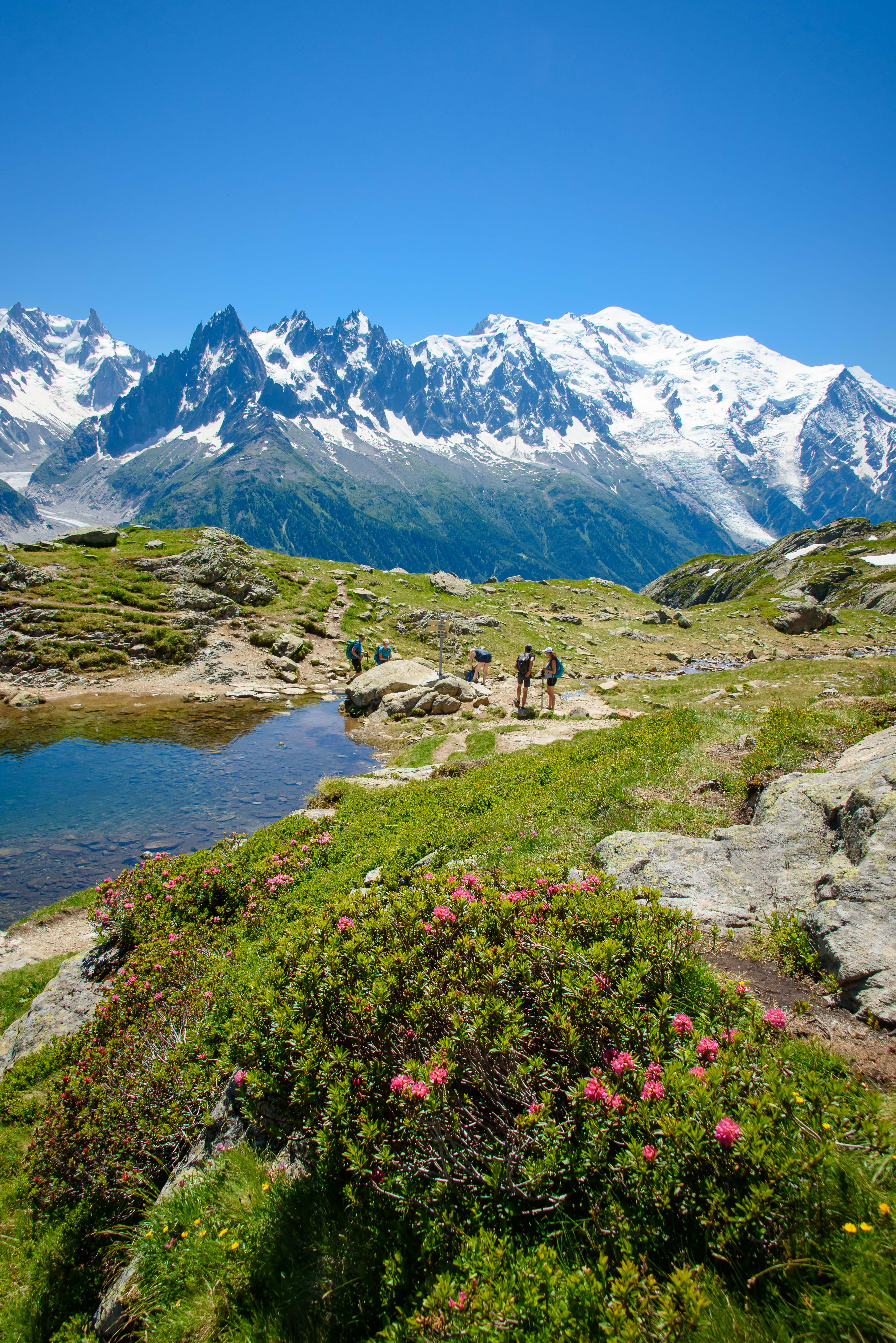 Gallery 7