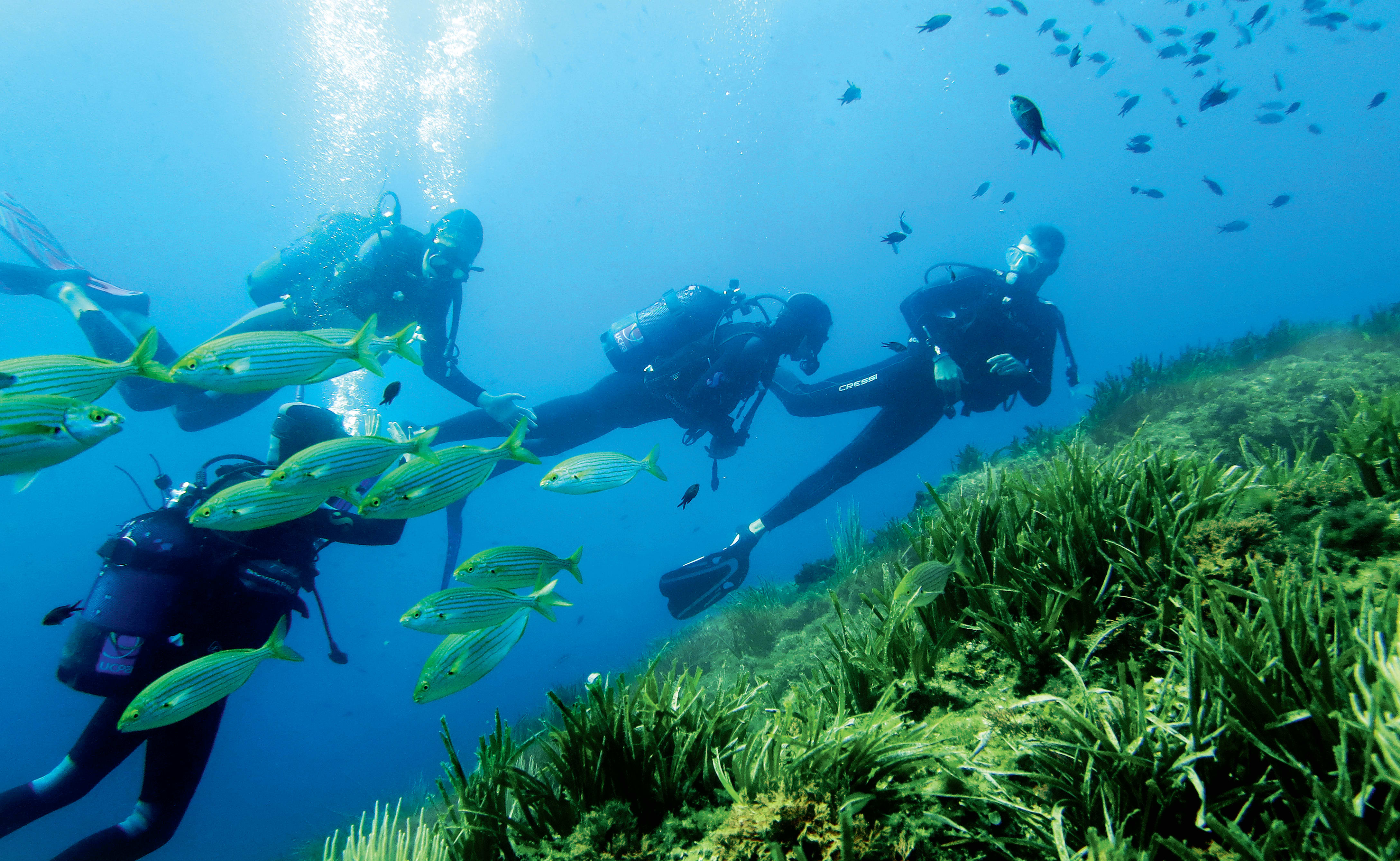 Plongée exploration Côte bleue - Happy Summer