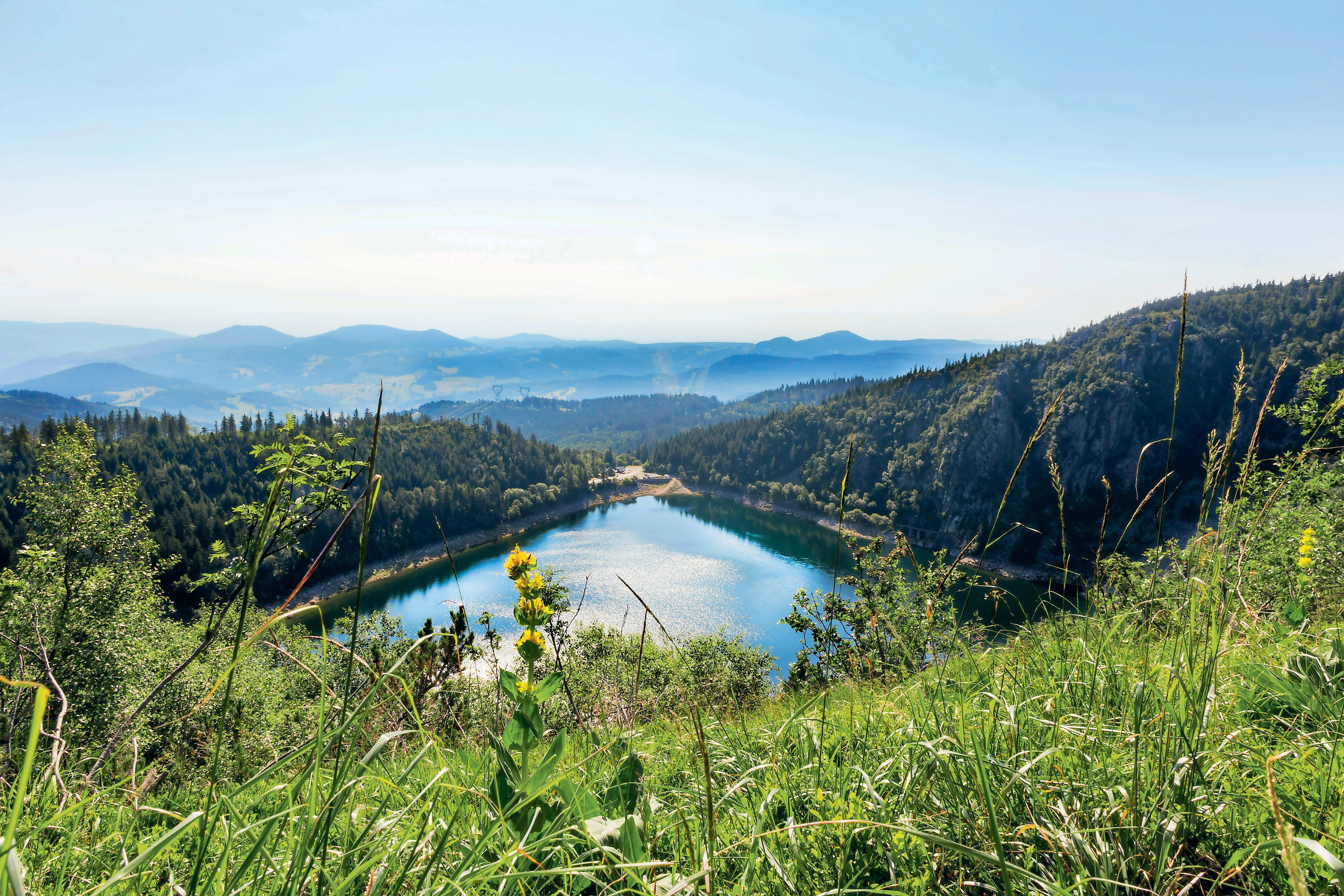 Les plus beaux sentiers, entre Haut Allier et Compostelle