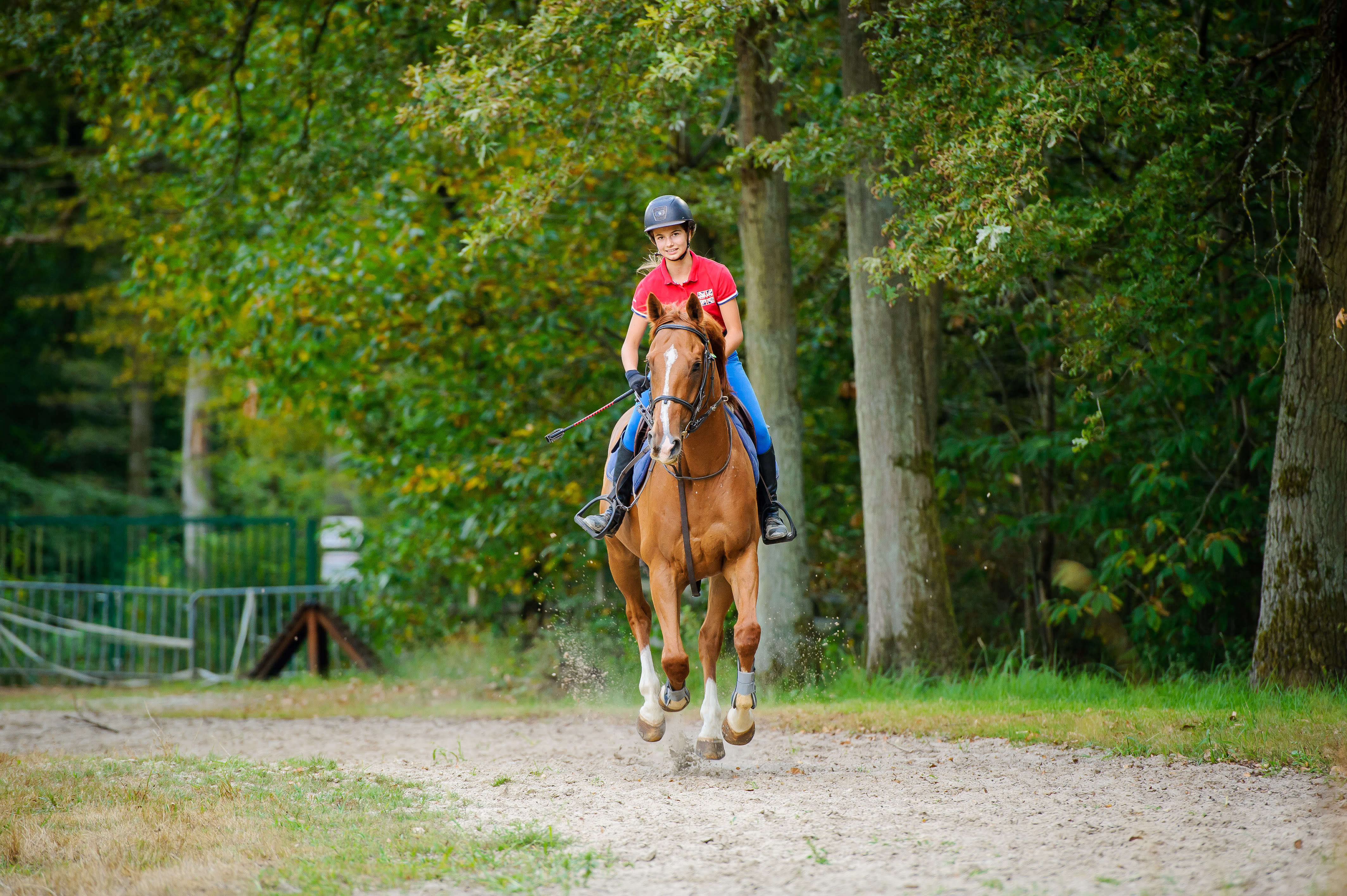 Equitation et Multisports Serre Che