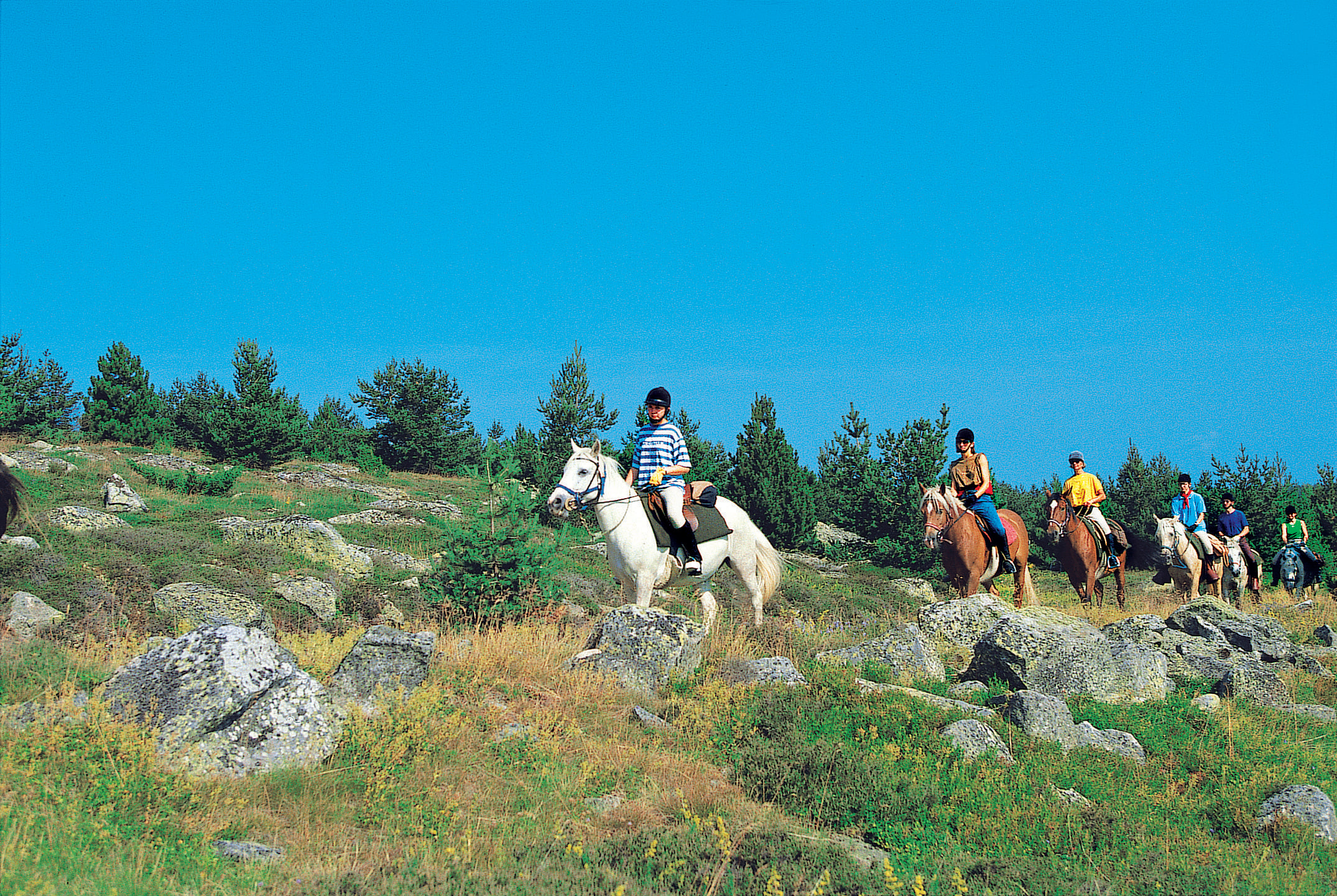 Aventure équestre sur le Mont Lozère 