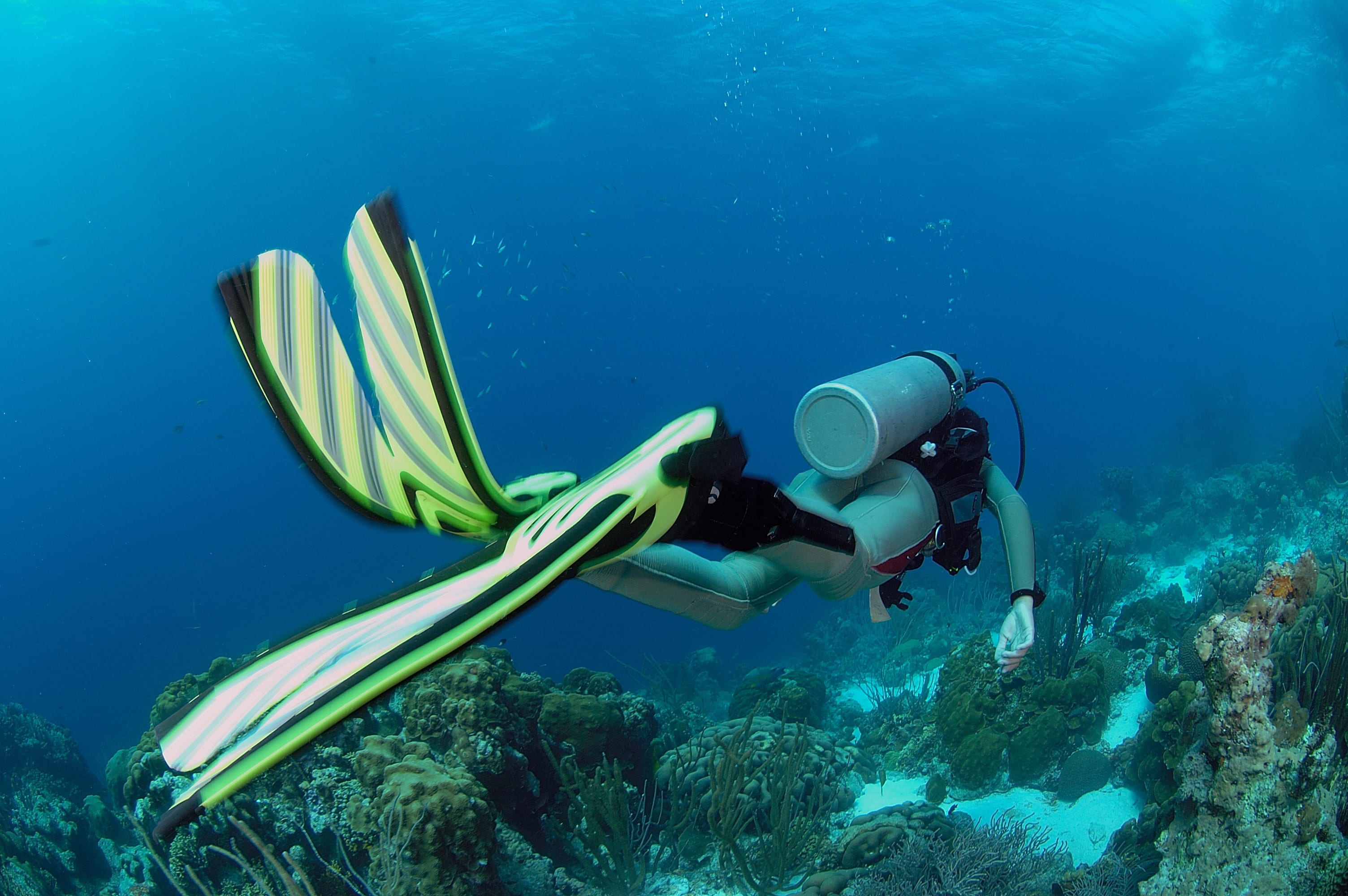 Plongée exploration Côte bleue 5 jours