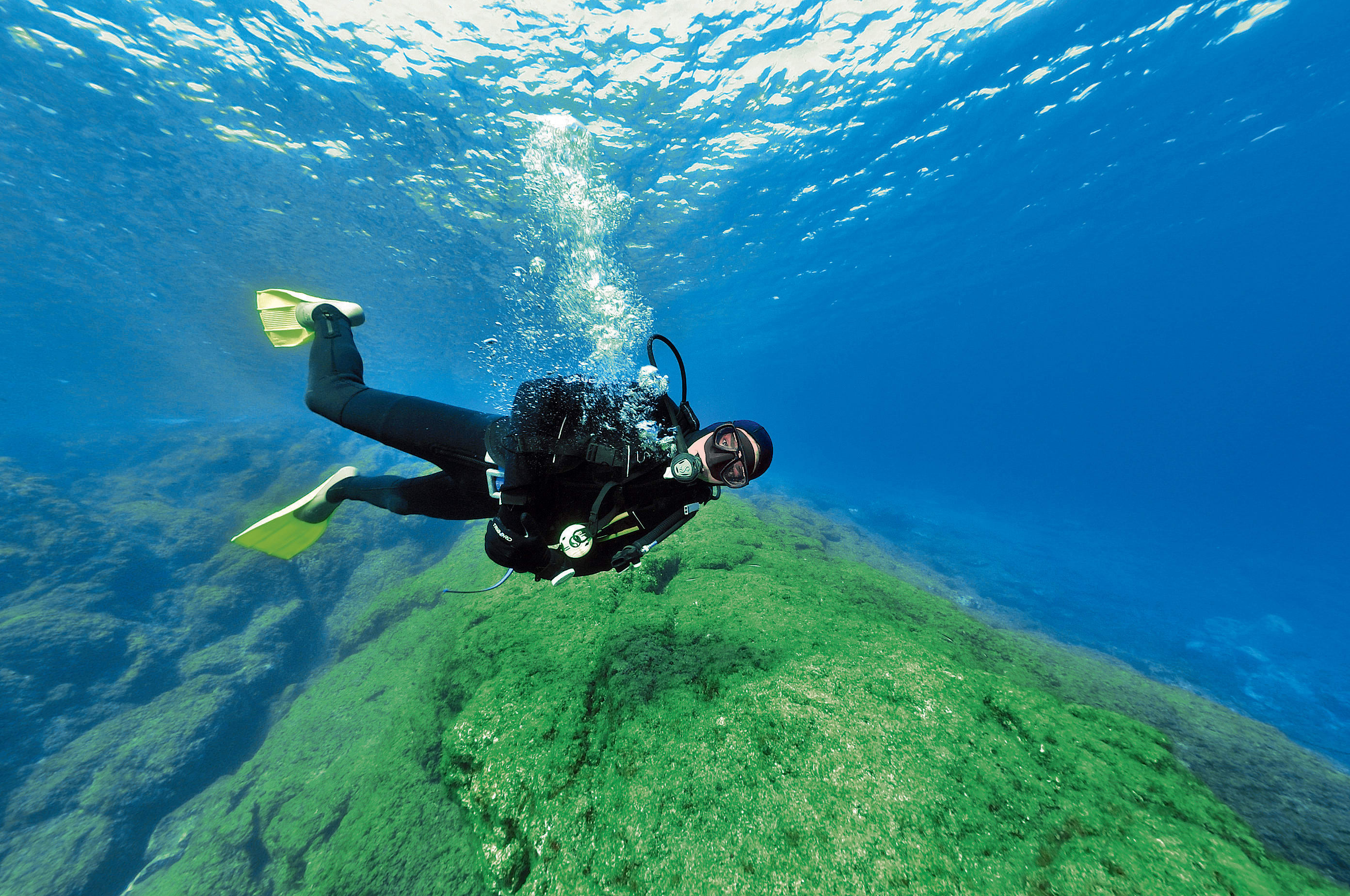 Plongée formation niveau 2 - 5 jours - Sans hébergement