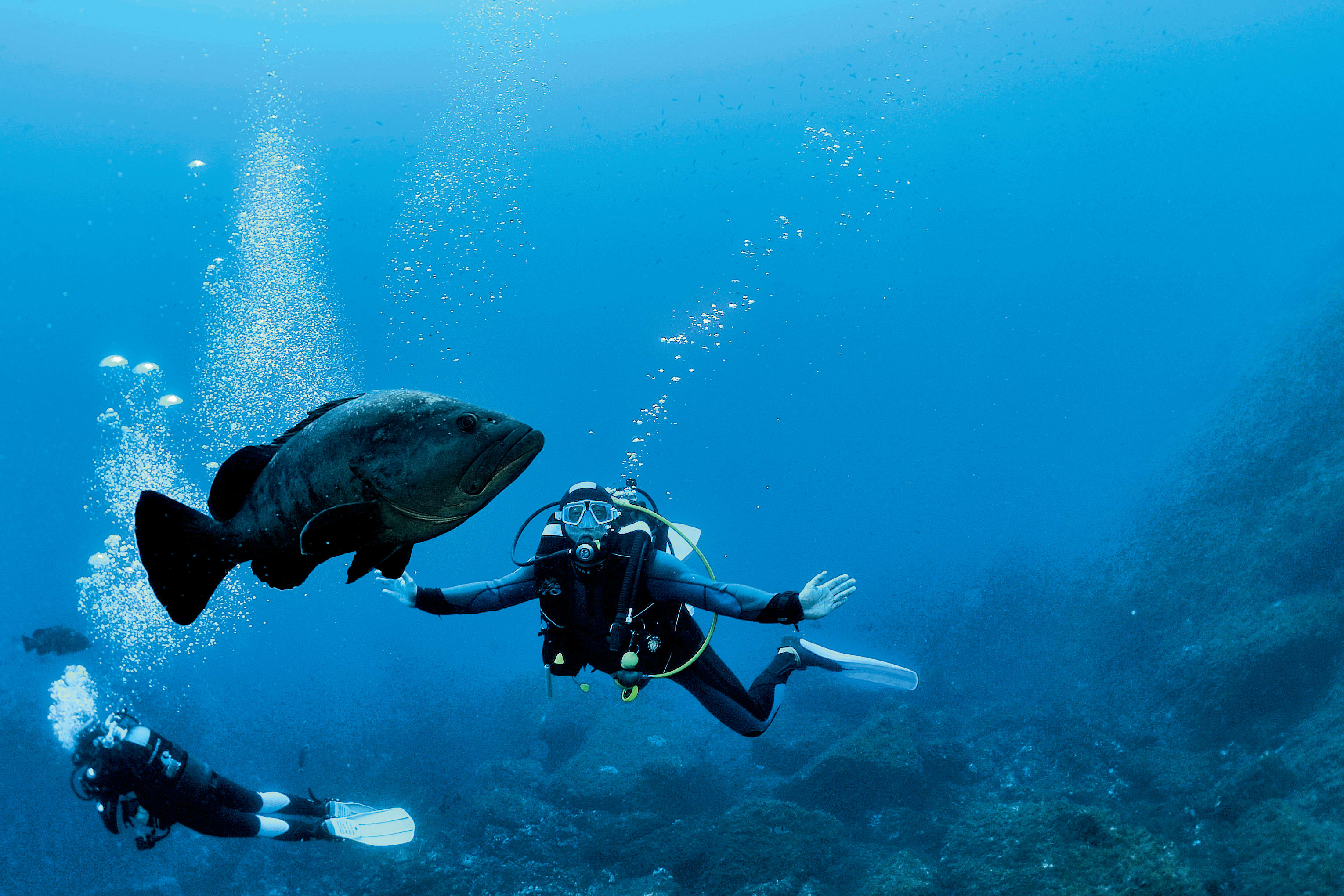 Plongée exploration profonde Parc de Port Cros