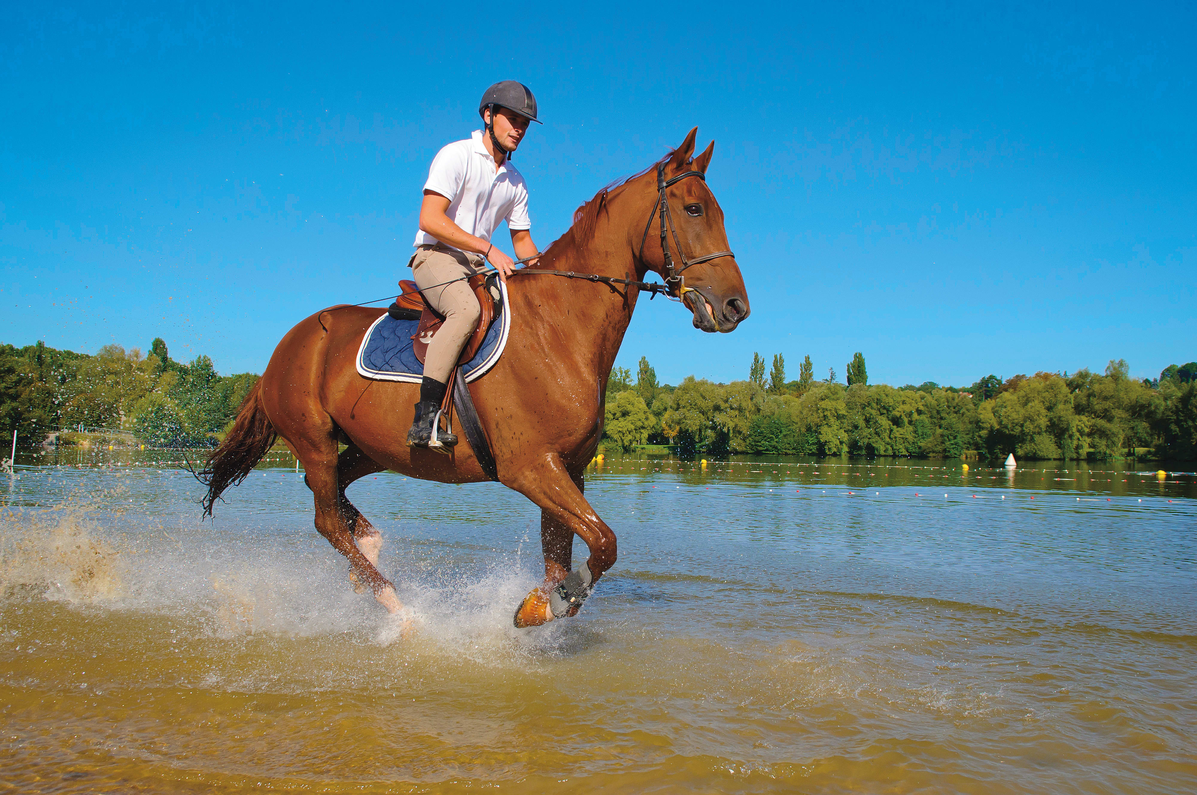 Weekend Équitation perfectionnement - Sans hébergement