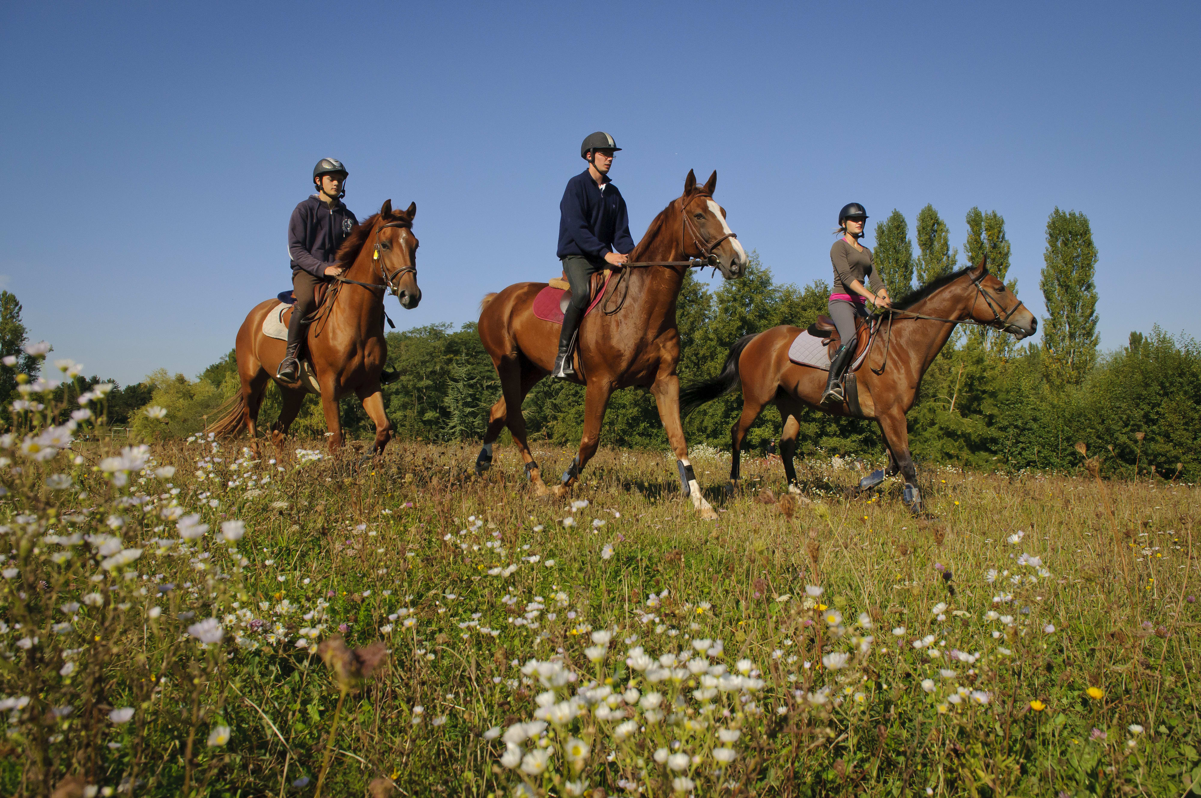 Week-End Equitation intermédiaire