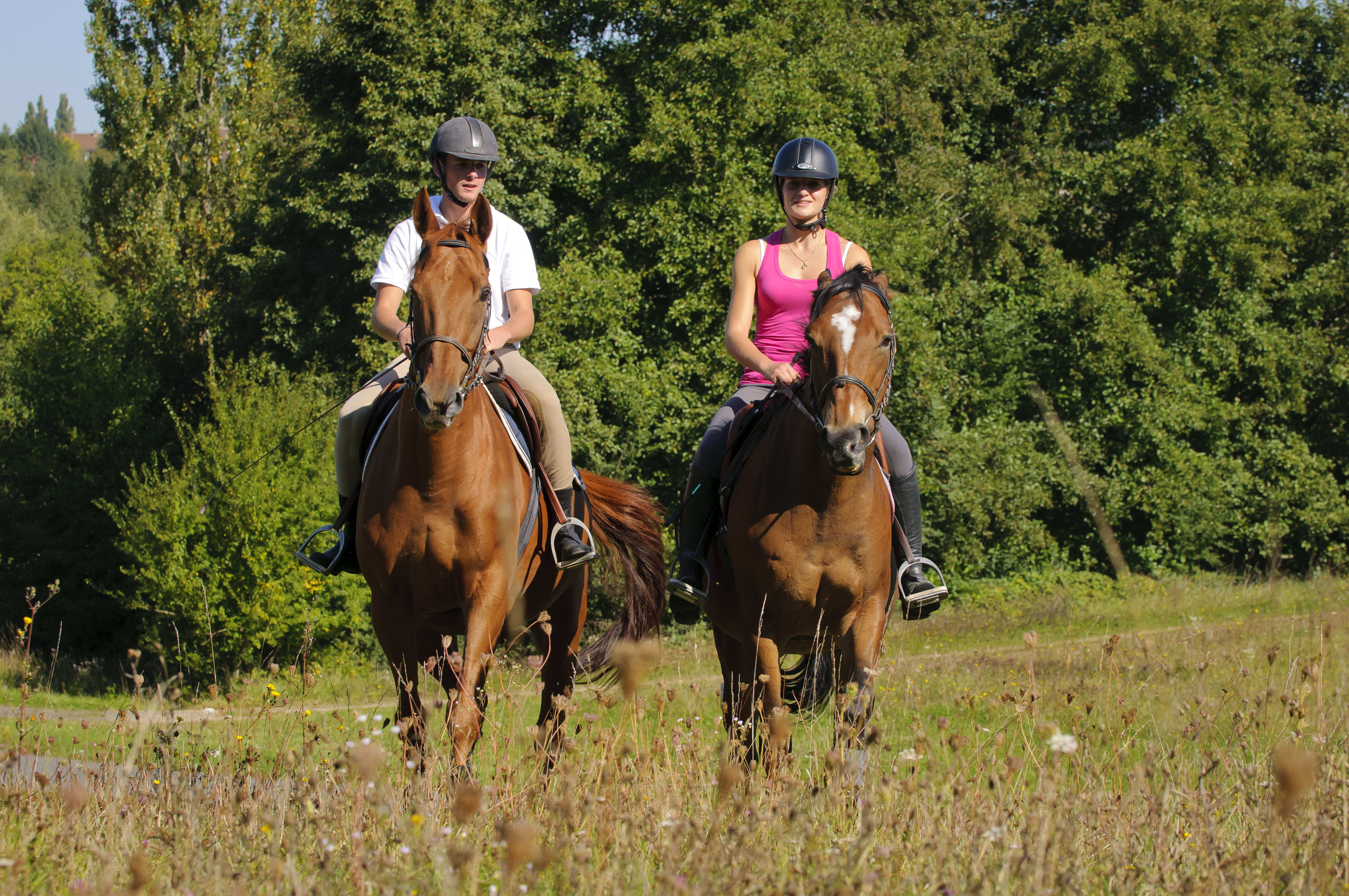 Week-End Equitation intermédiaire - Sans hébergement