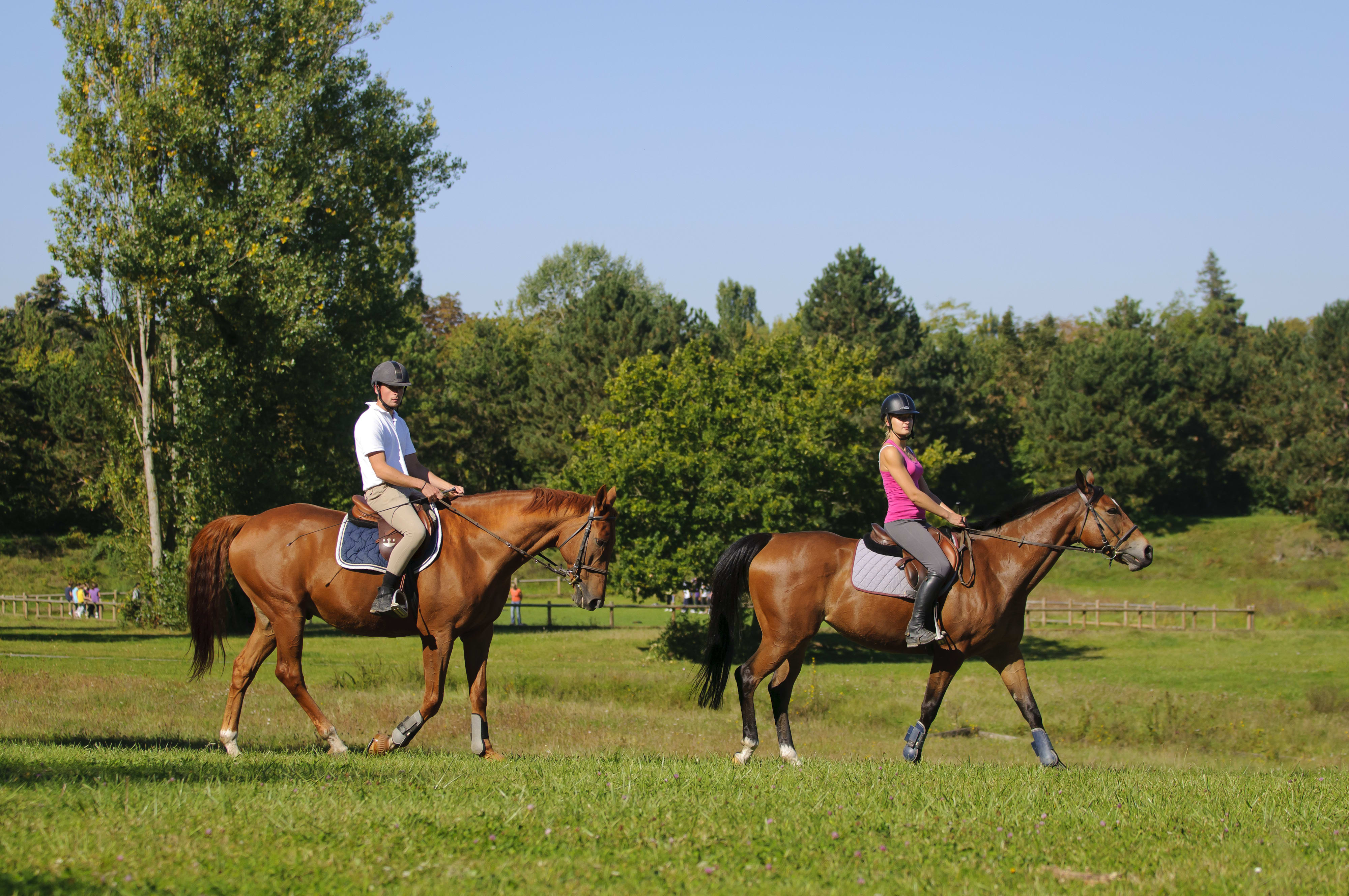 Break 3 jours Équitation perfectionnement