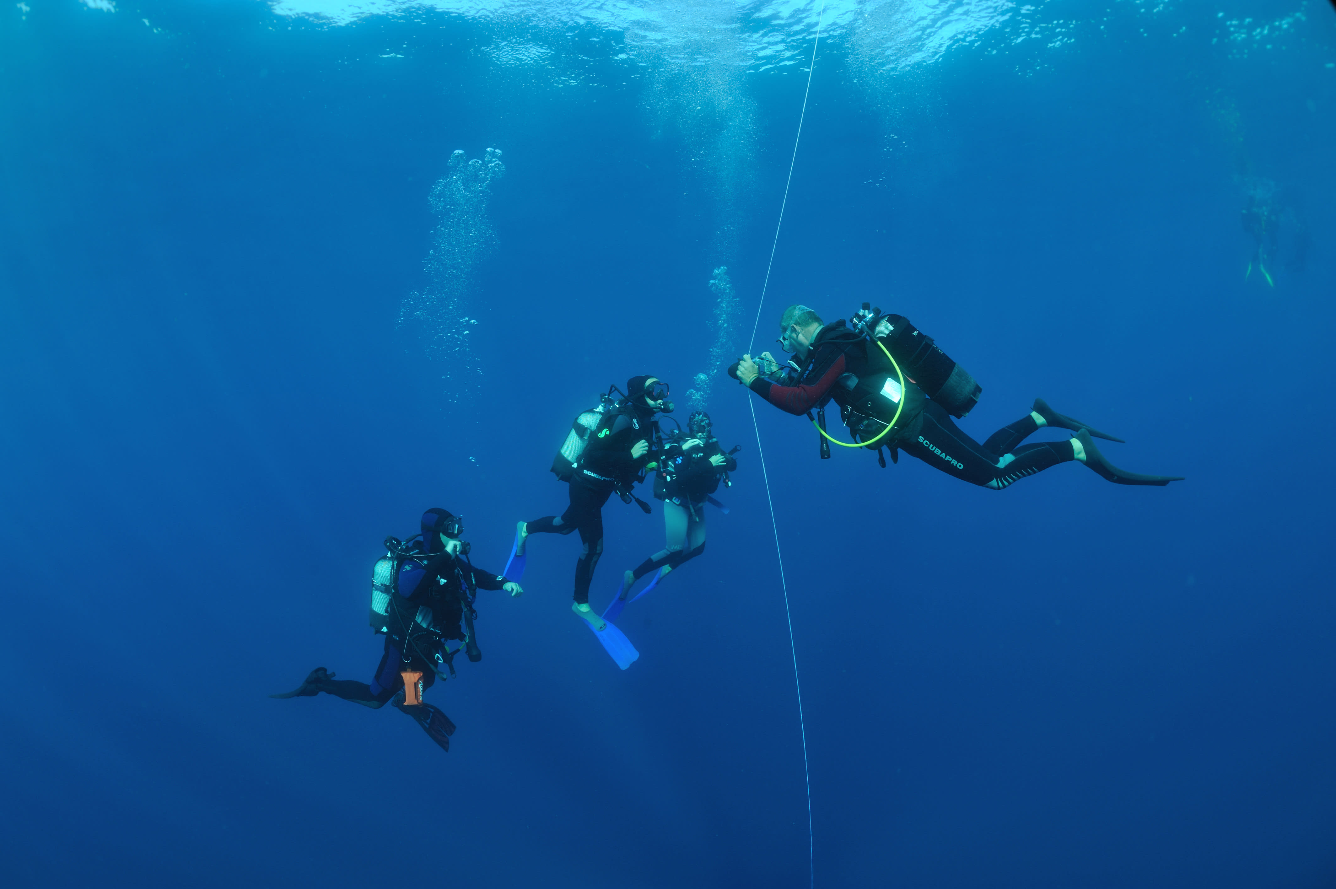 Plongée autonome Parc des Calanques - Sans hébergement