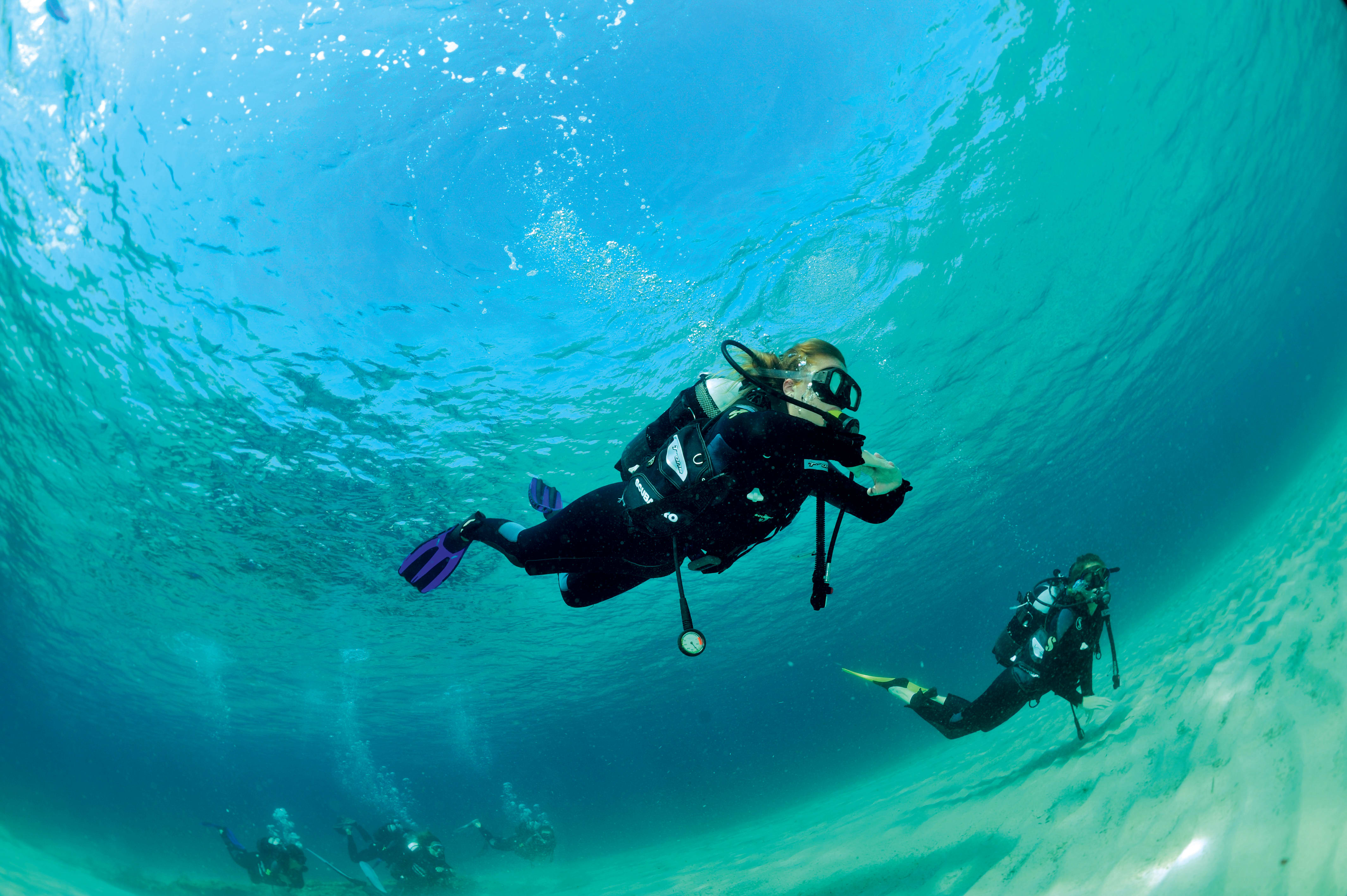 Plongée Spécial Débutant et plongée exploration Martinique en 15 jours
