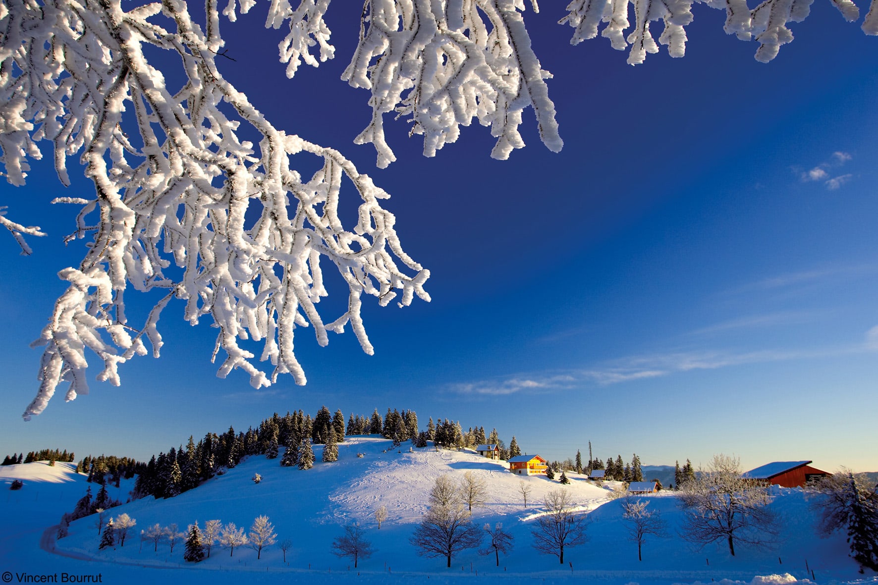 Trail sur la Haute Chaîne du Jura