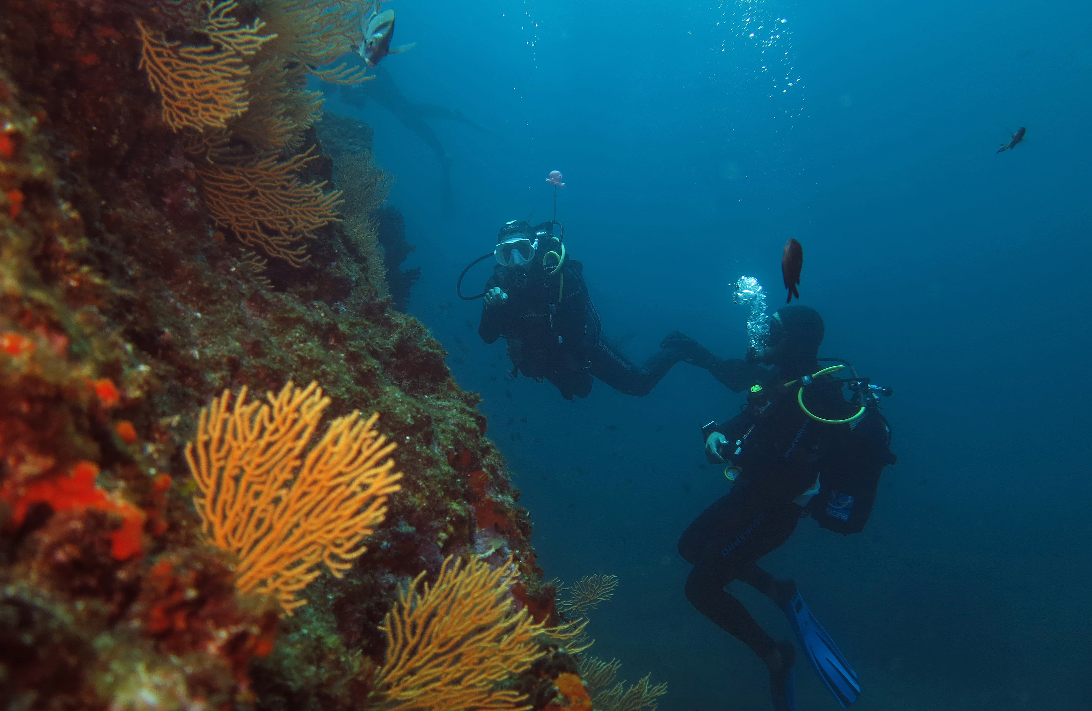 Plongée autonome Côte bleue
