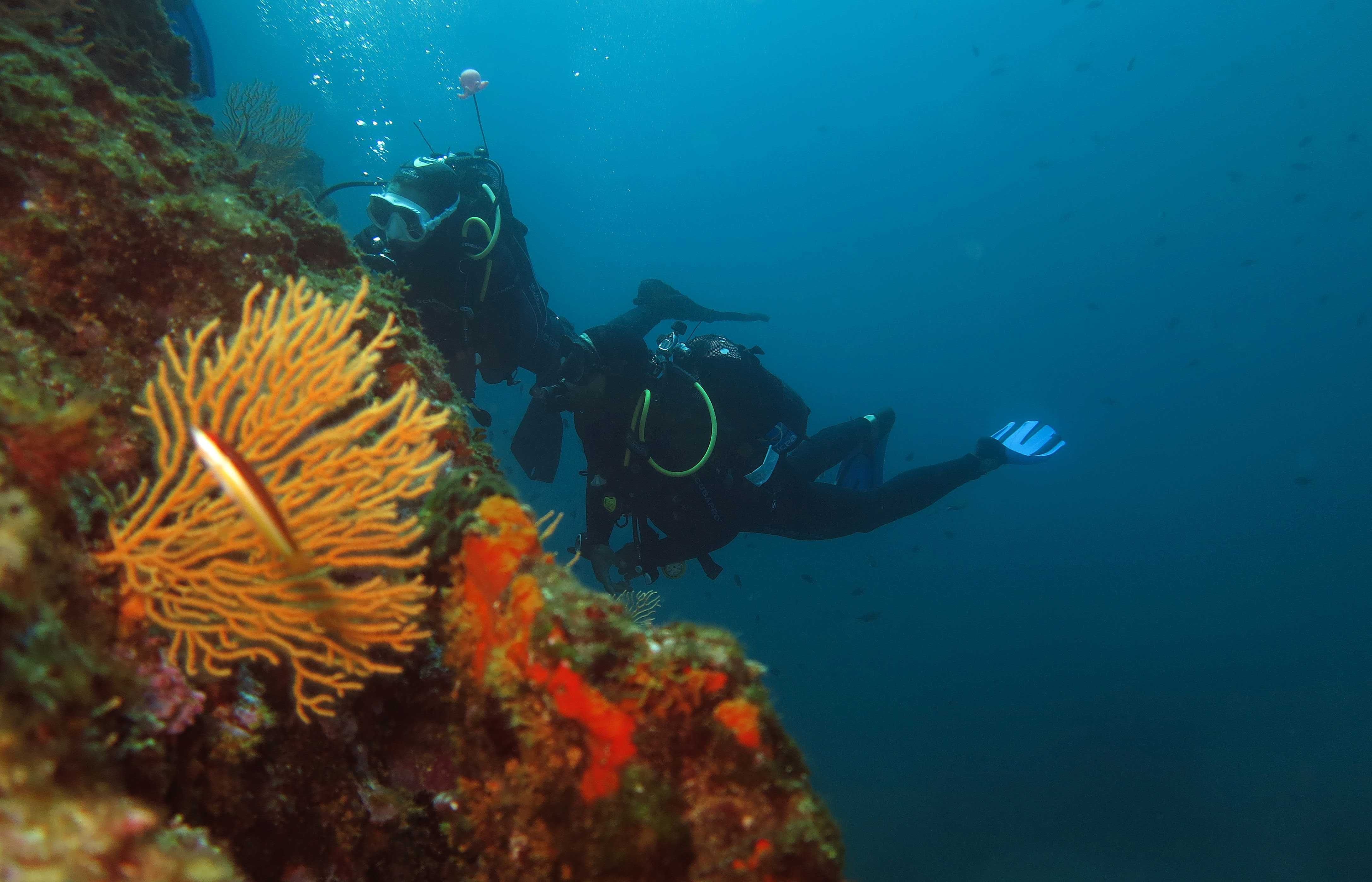 Plongée formation niveau 2