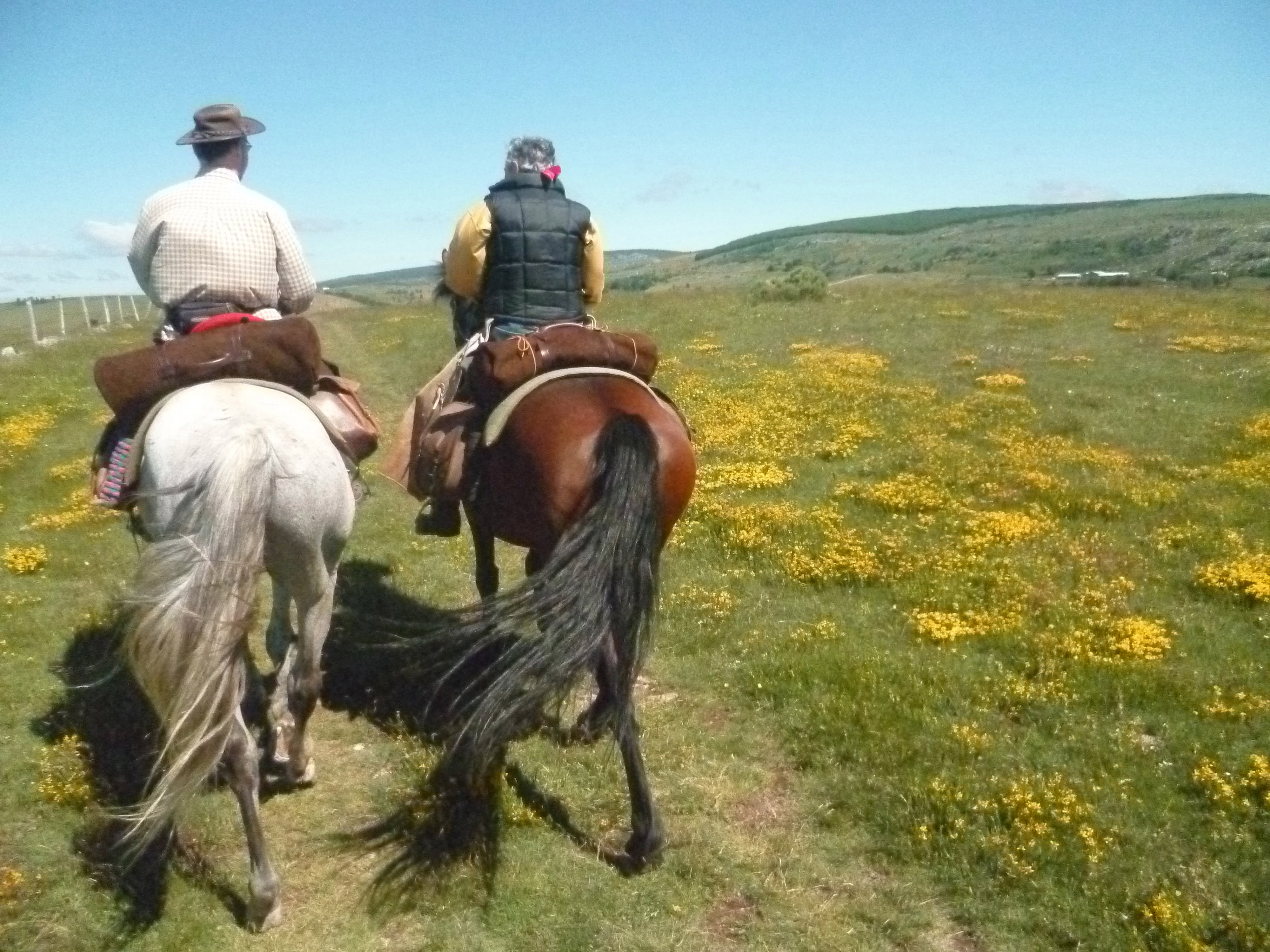  Voyage à cheval en Lozère