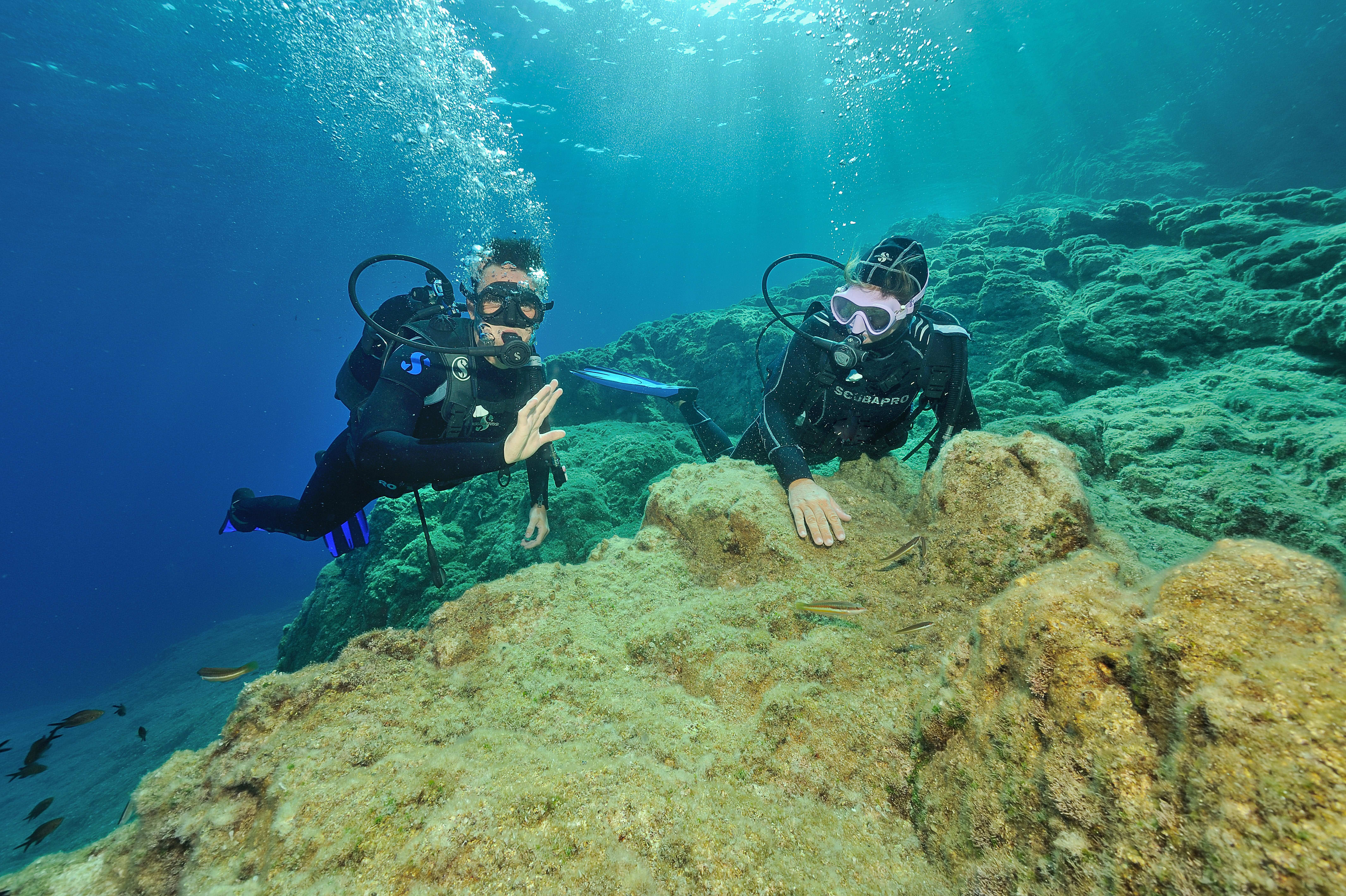 Plongée spécial débutant - Sans hébergement