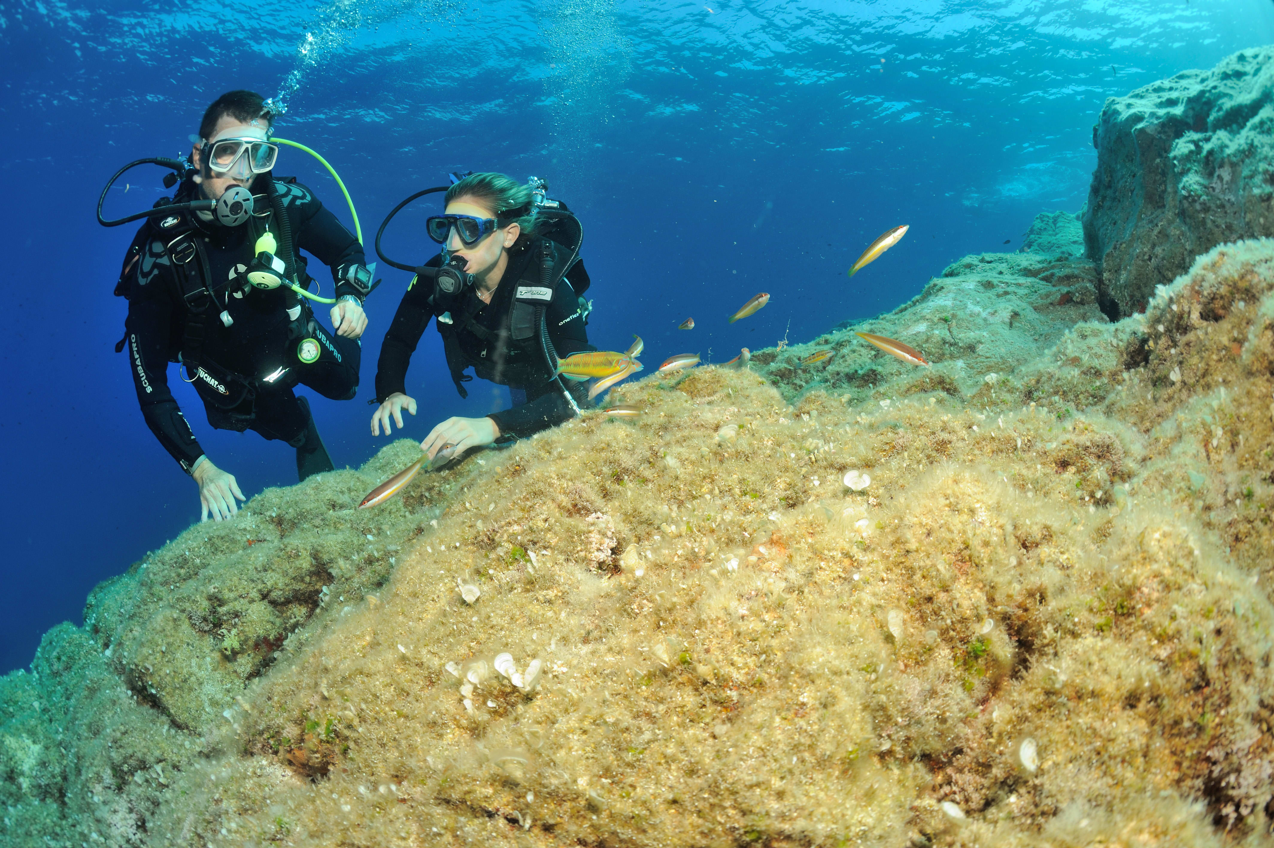 Plongée spécial débutant - Happy Summer
