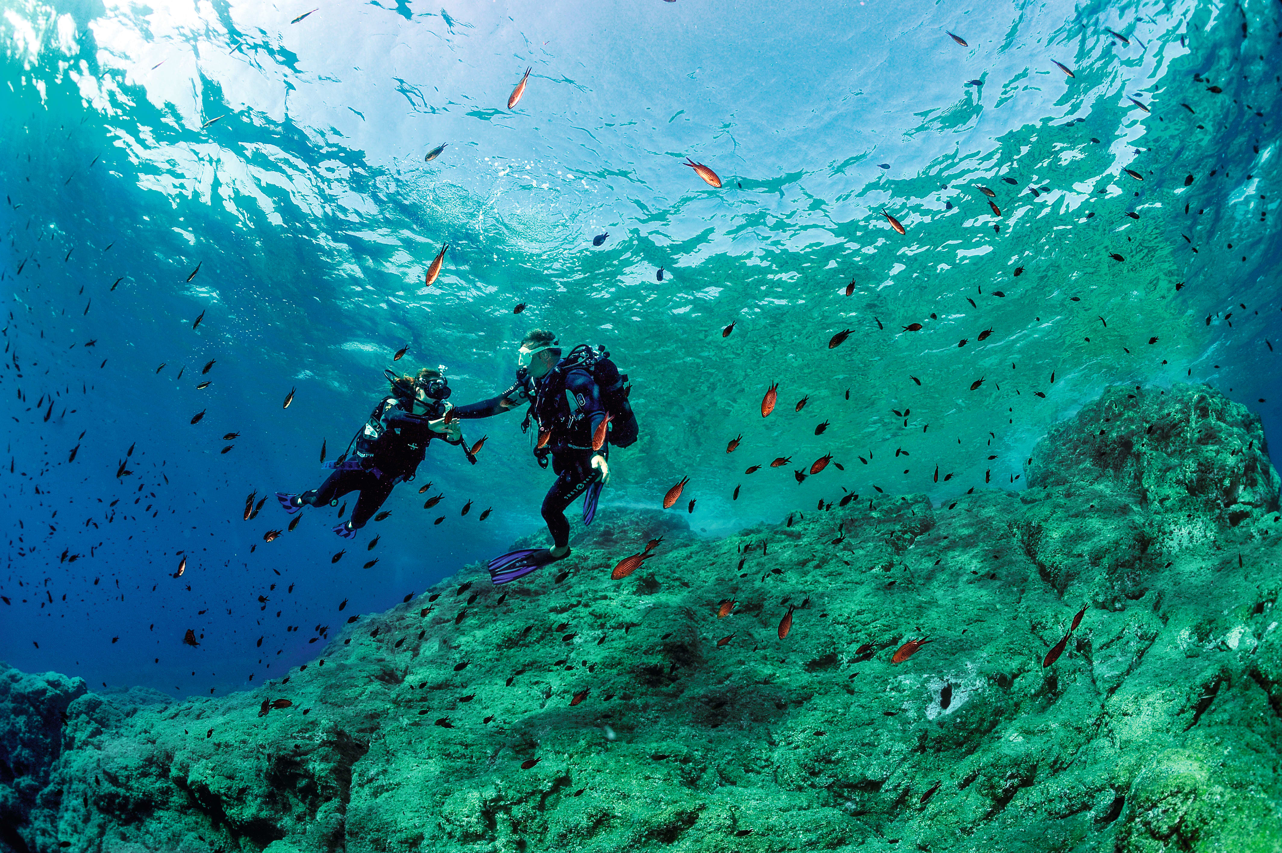 Plongée spécial débutant 5 Jours