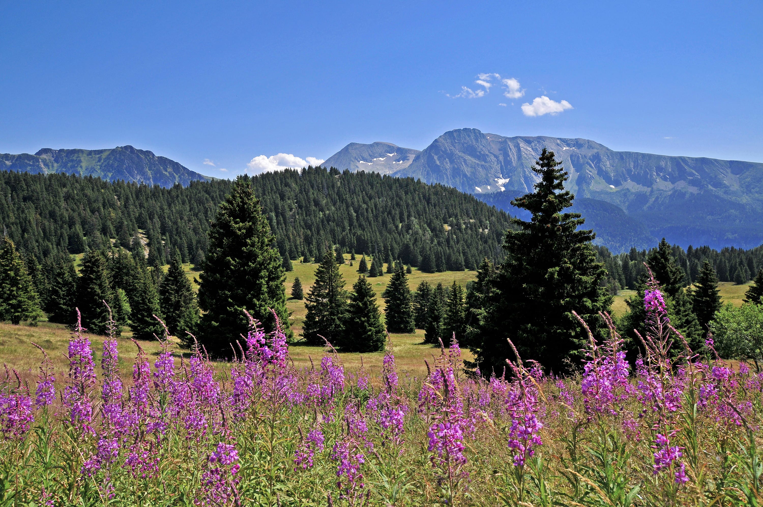 Break 3 massifs : Belledonne, Chartreuse, Bauges