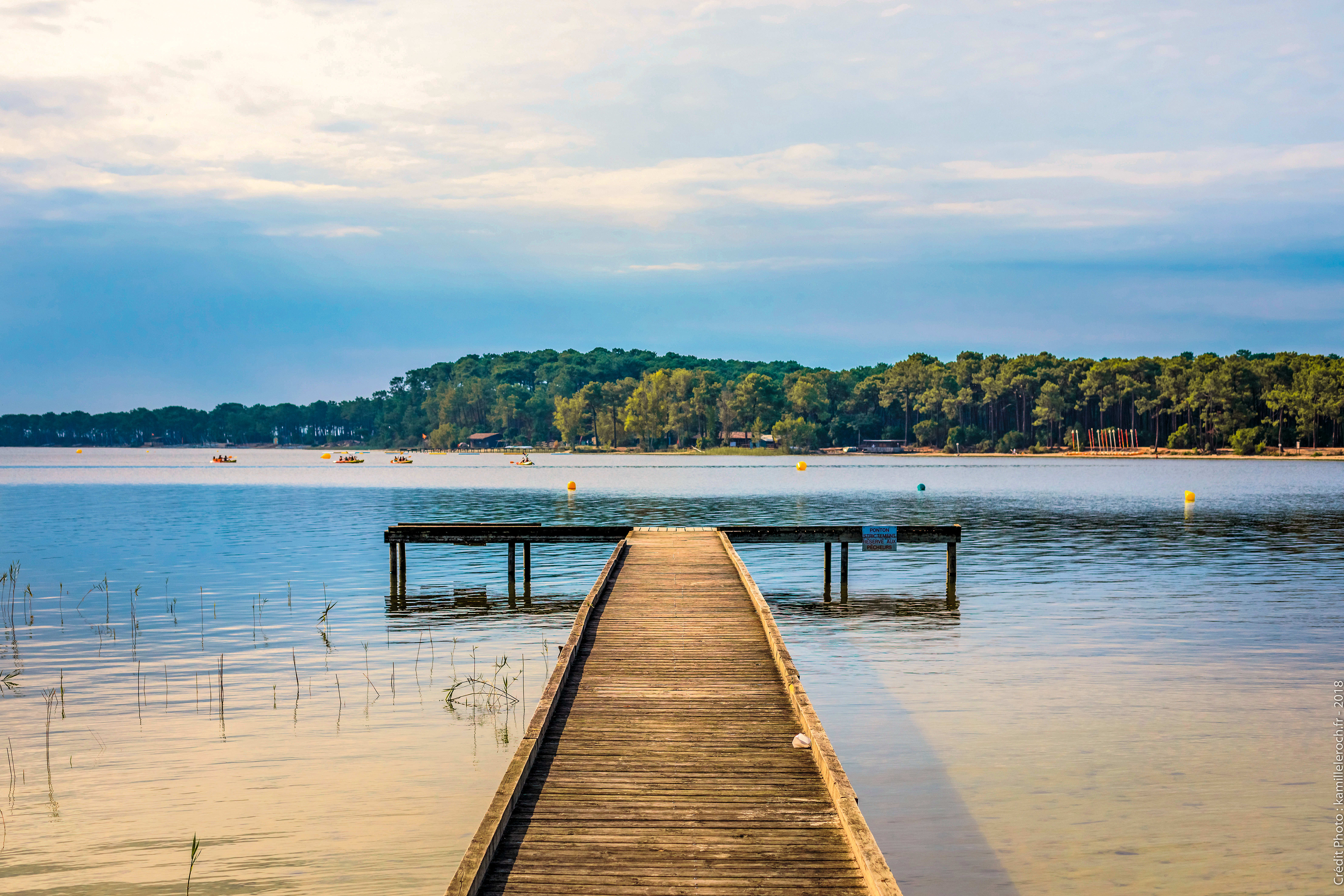 Yoga, Nature & Bien-être