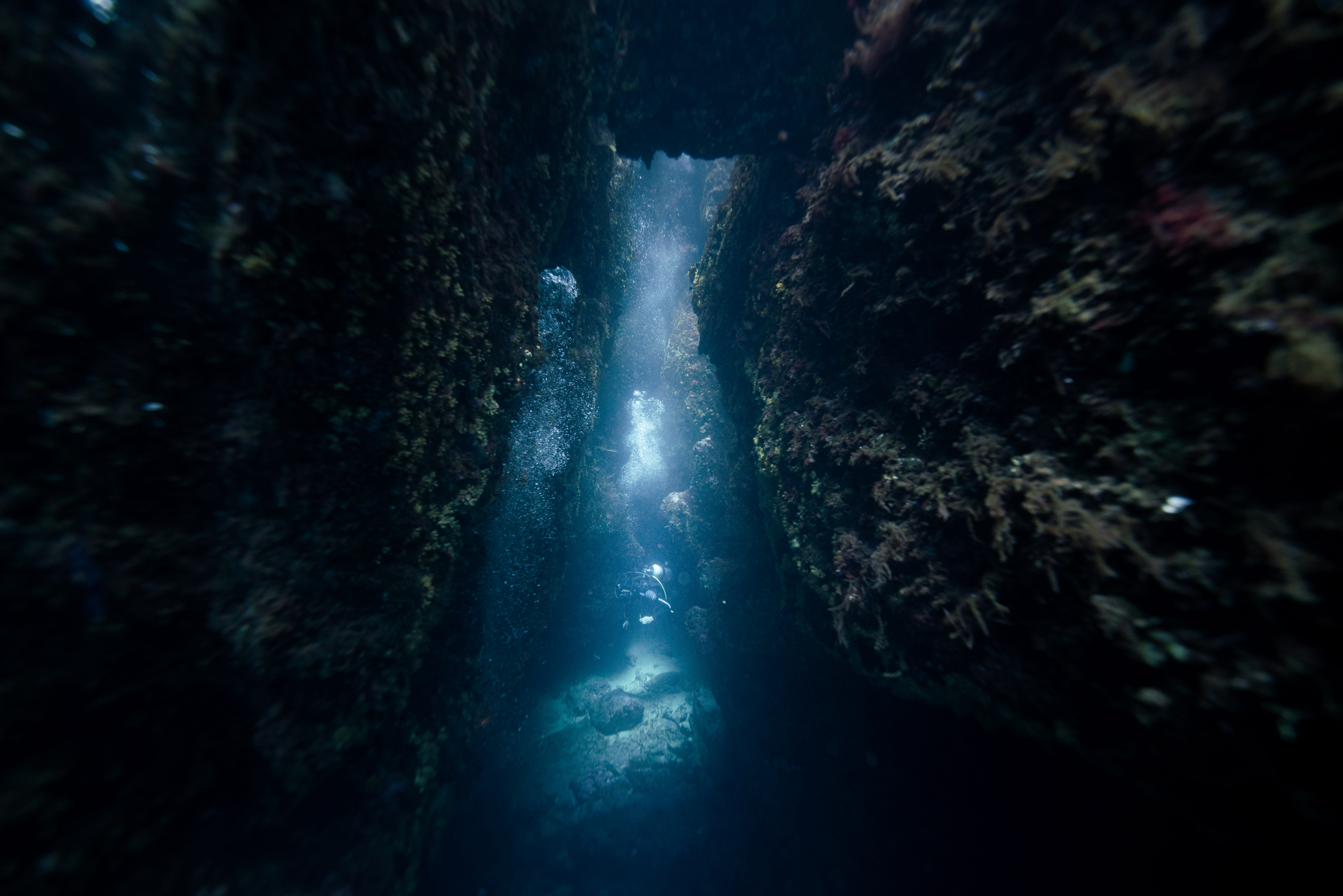Plongée autonome Parc des Calanques 5 jours