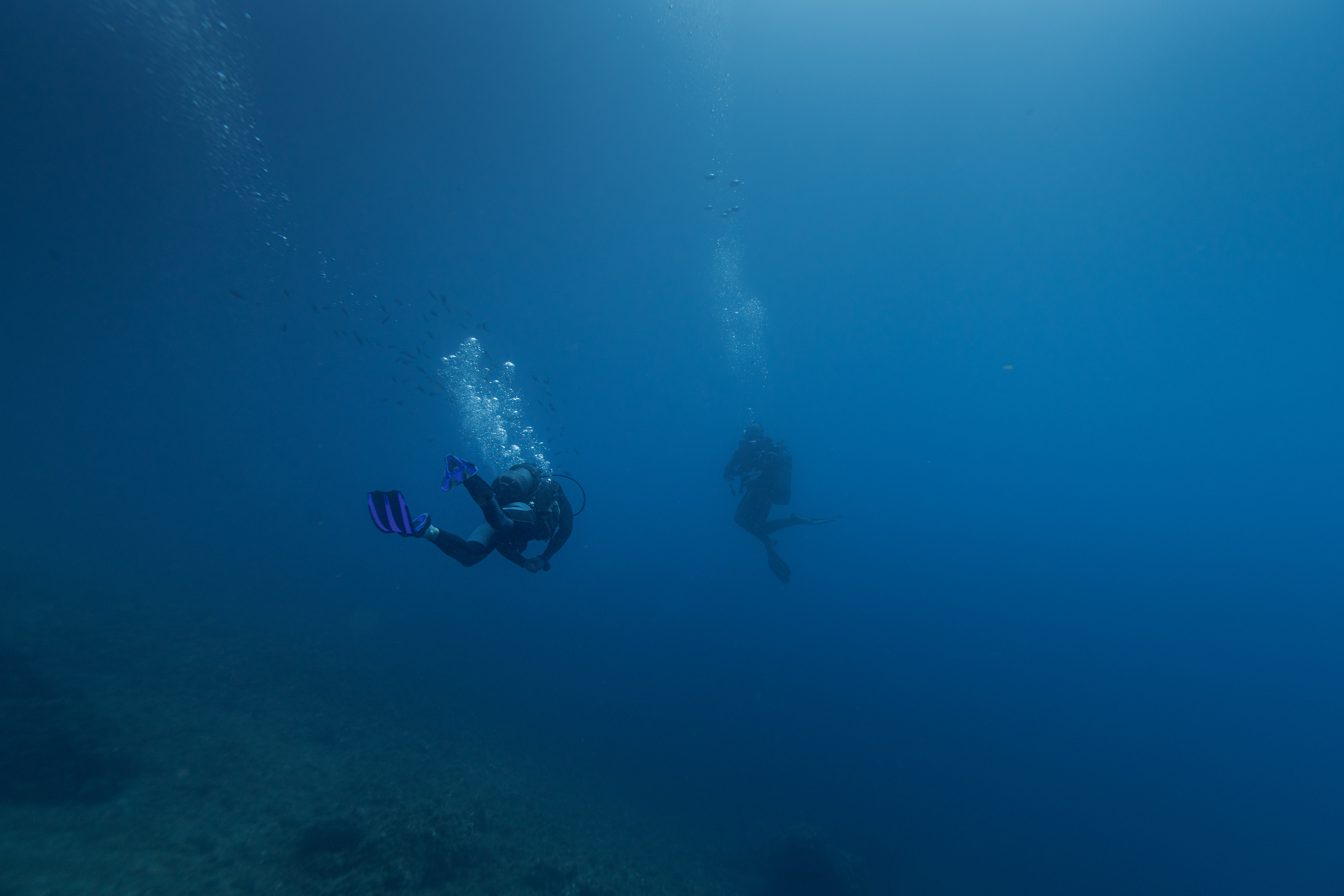 Plongée exploration profonde Parc des Calanques - Sans hébergement
