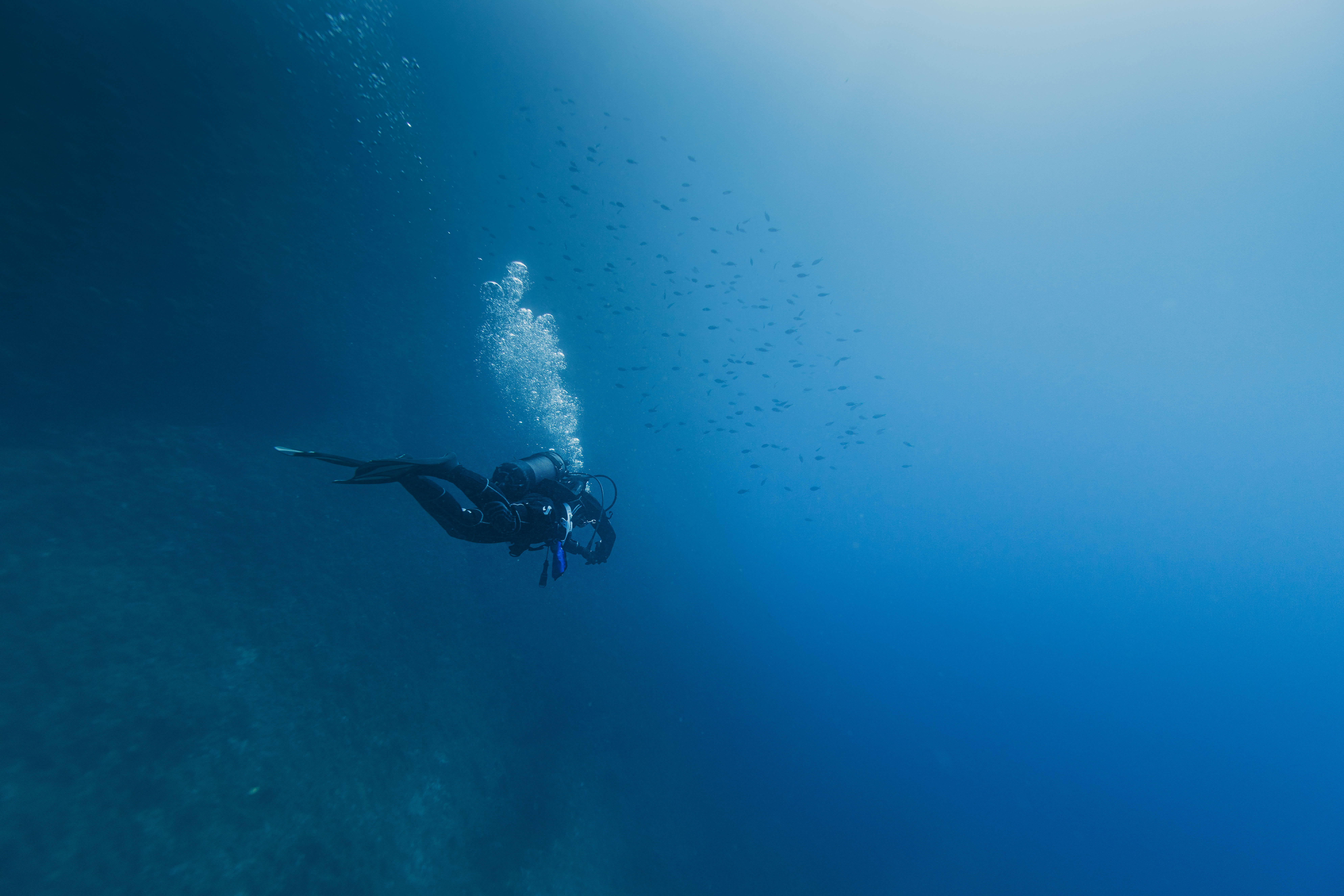 Plongée formation niveau 2 - Sans hébergement
