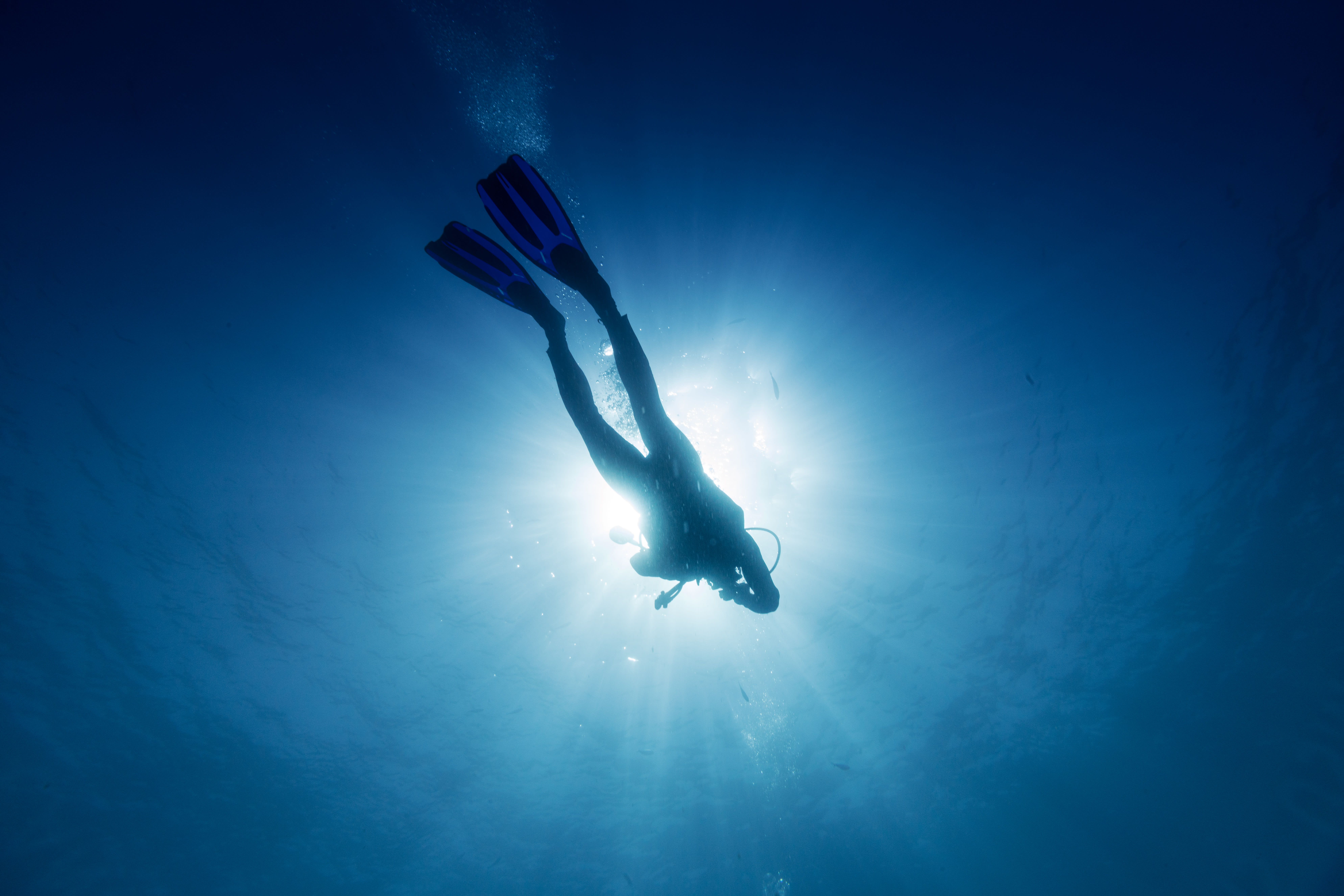 Plongée spécial débutant - Happy Summer