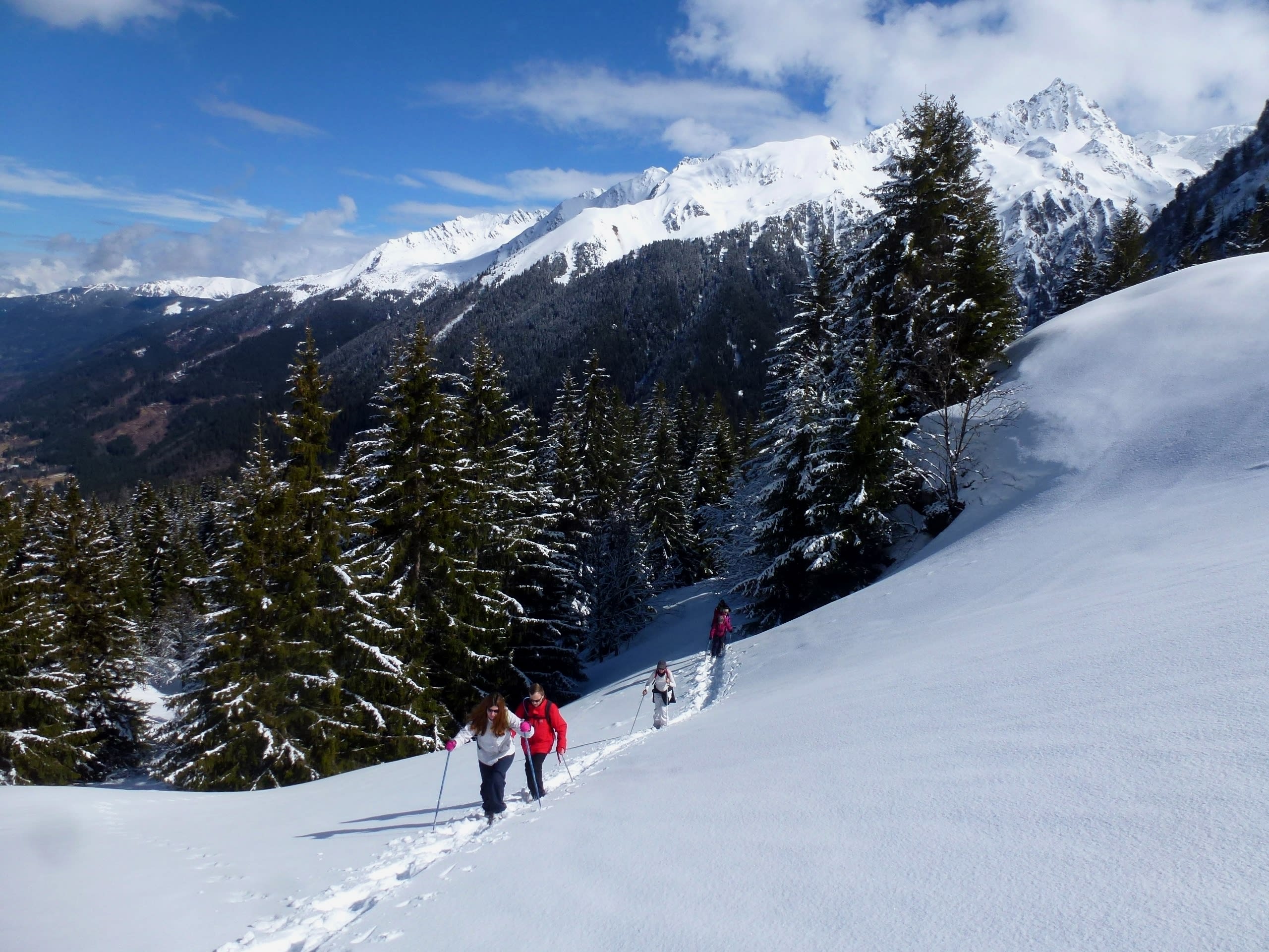 Break raquettes into the wild