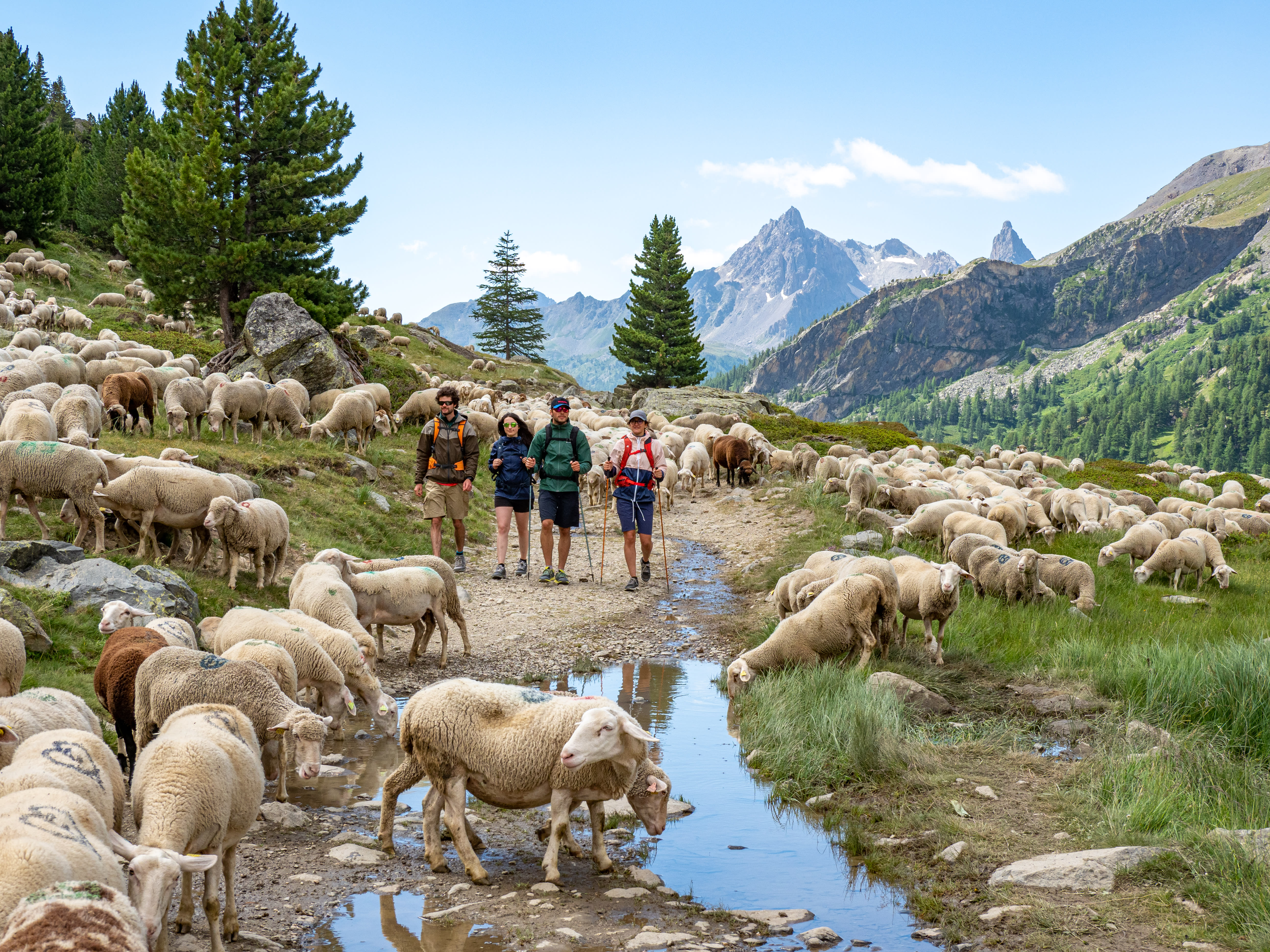Break 4 jours Serre Che rando et découverte