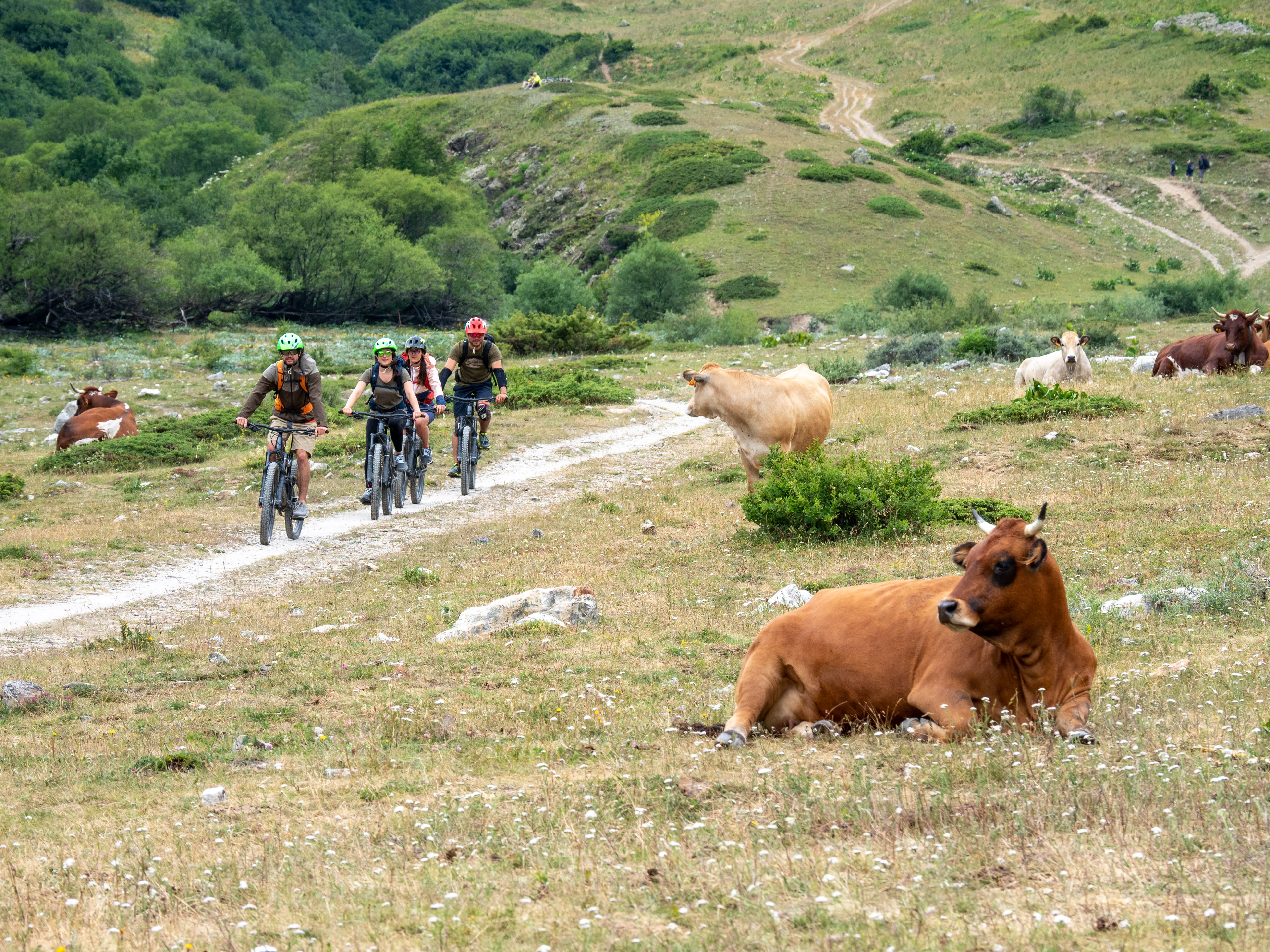Break 4J Serre Che Découverte Enduro VTT