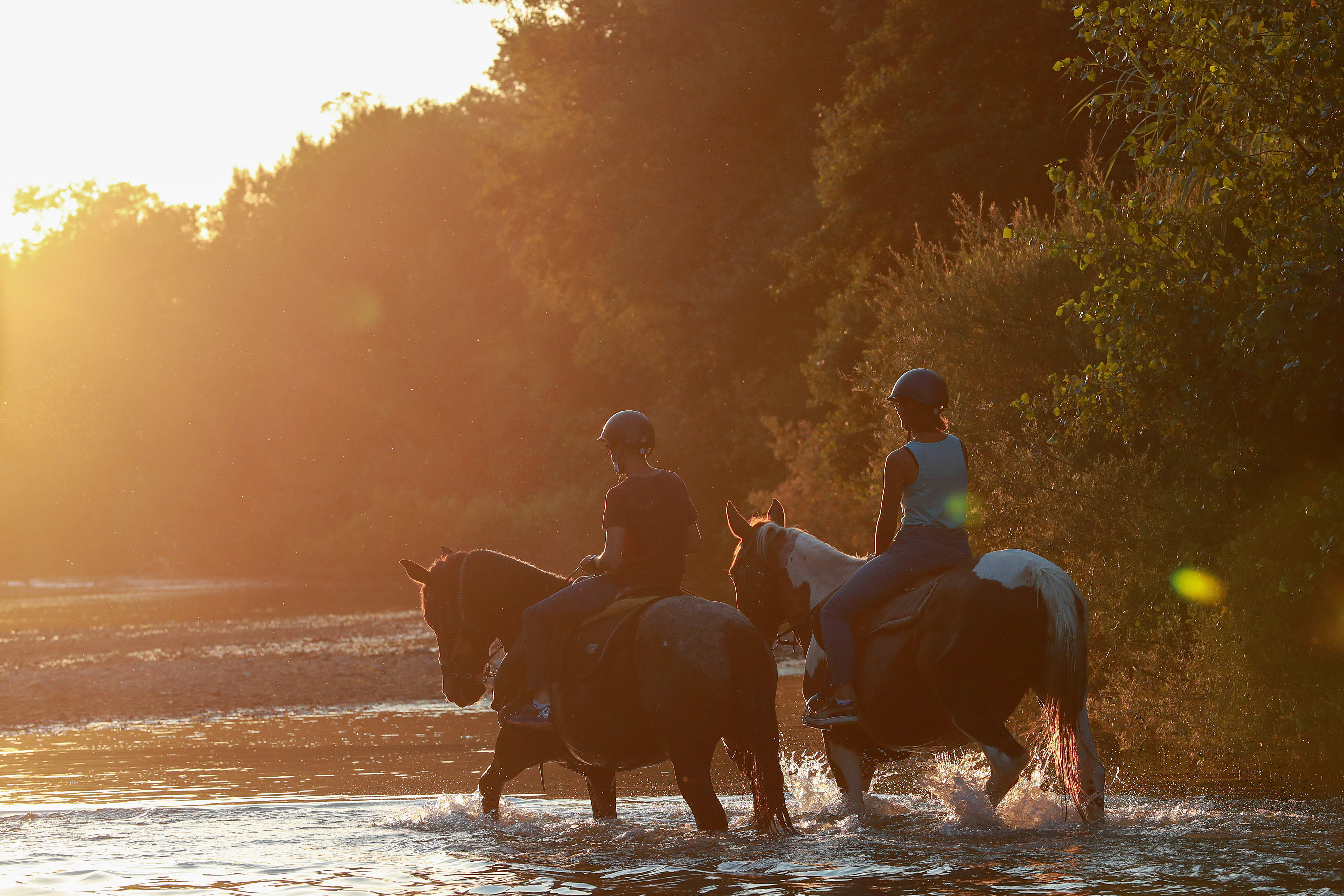 Rando Equitation au coeur du Cantal