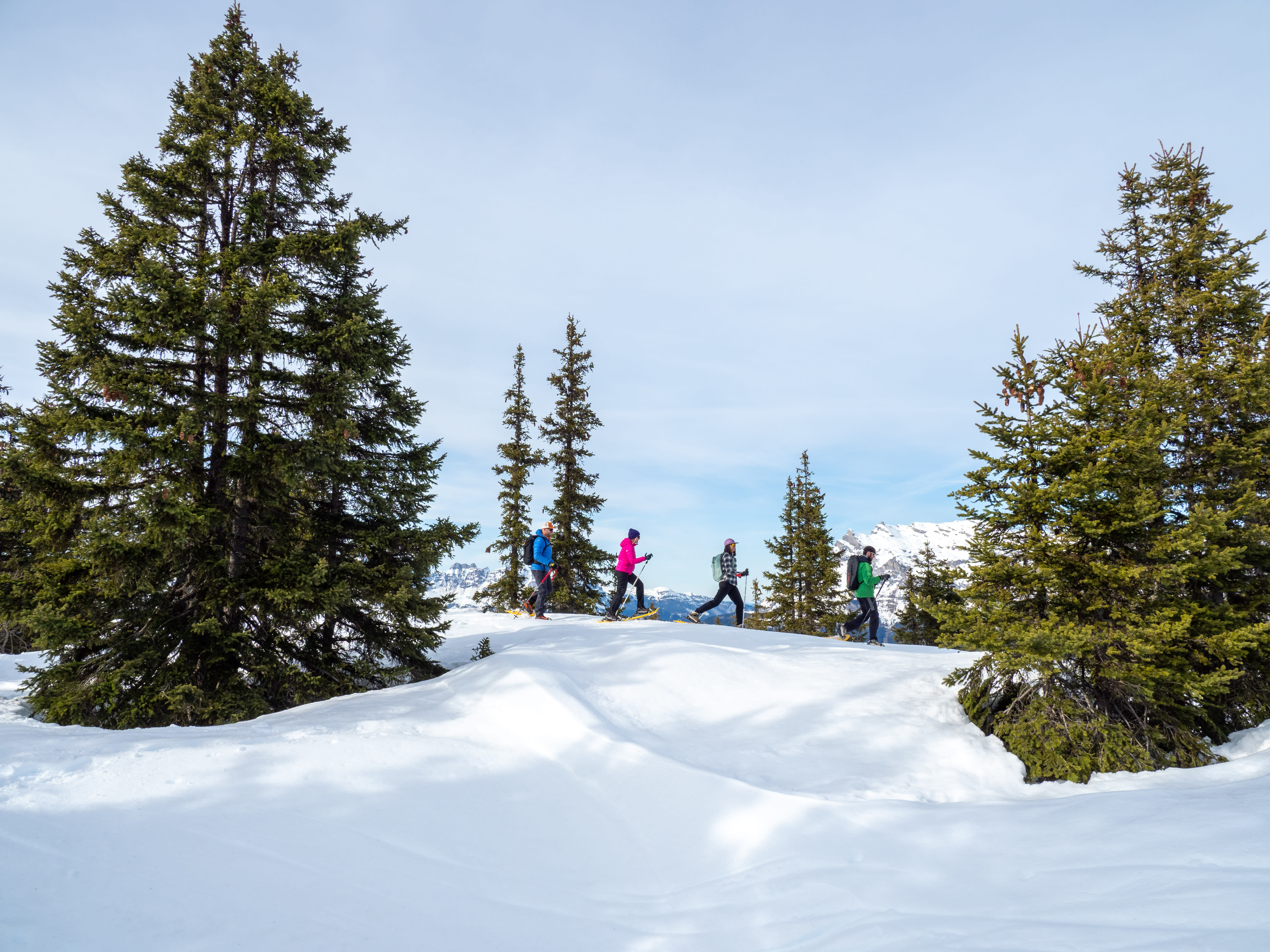 Raquettes évasion Queyras