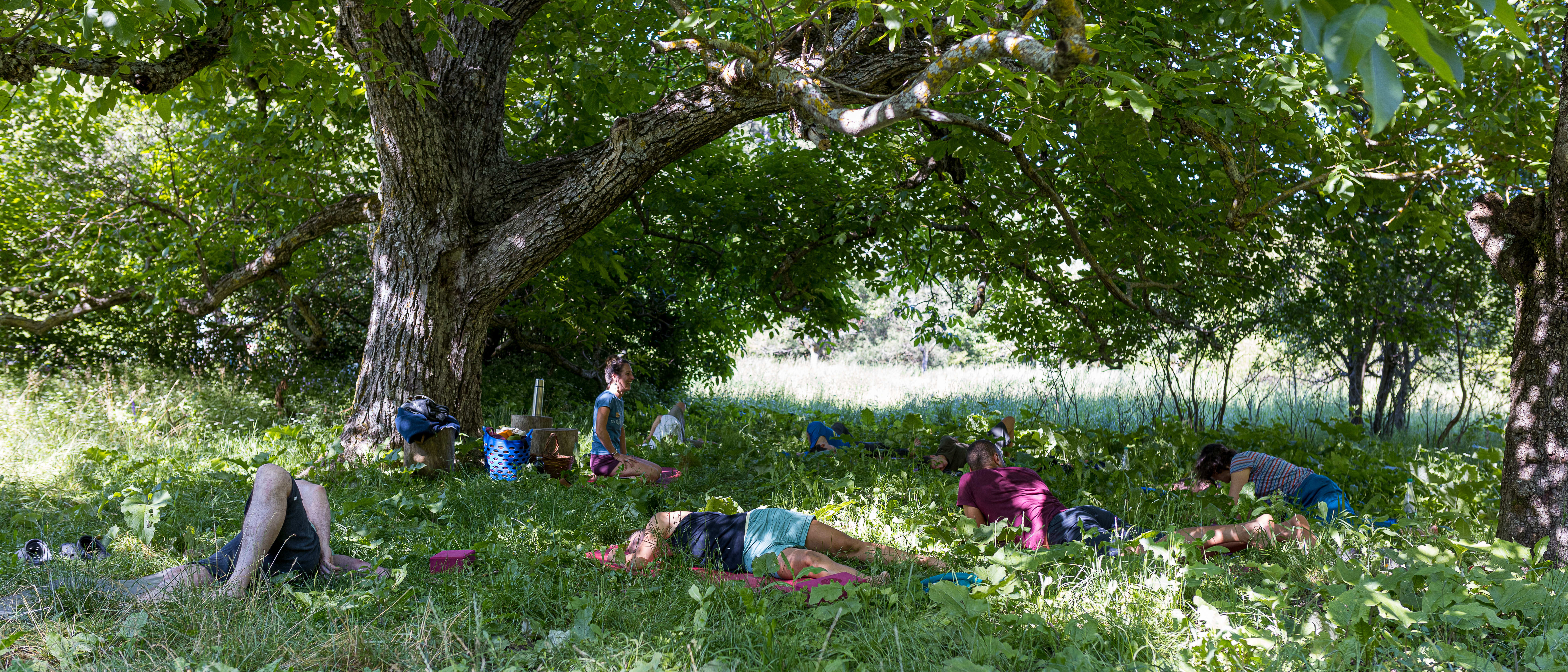 Camp Escalade / Yoga en 5 jours